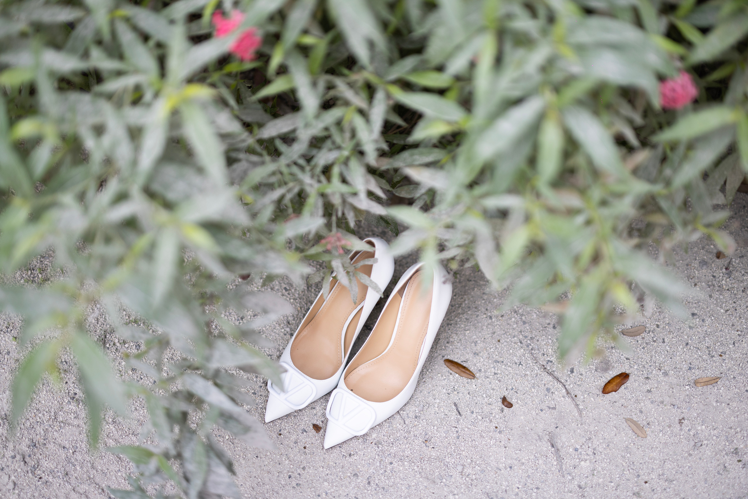 Wedding and Event photography, Kisses + Veil