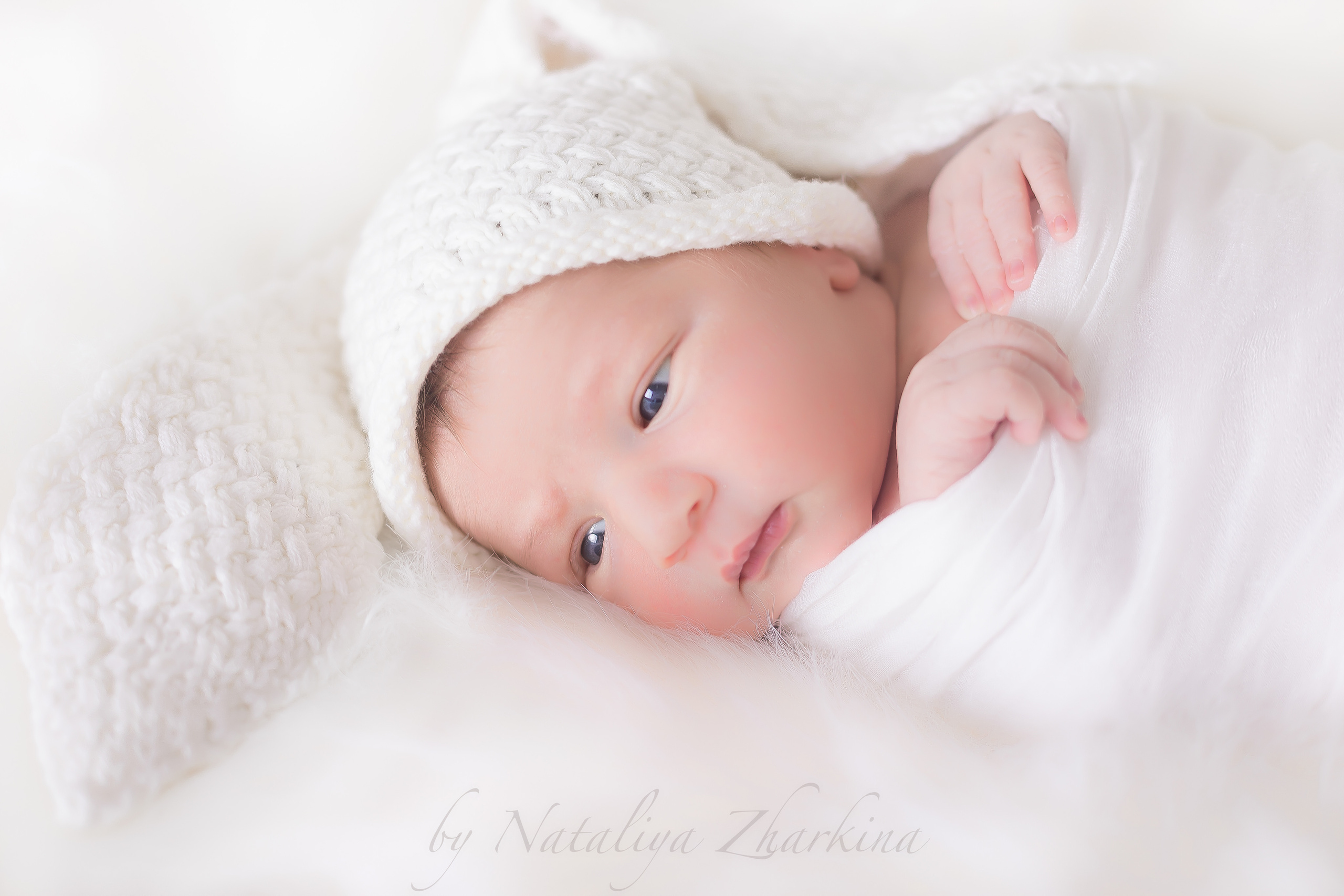 Newborn | Family | Maternity. Wedding and Event photography, Kisses + Veil