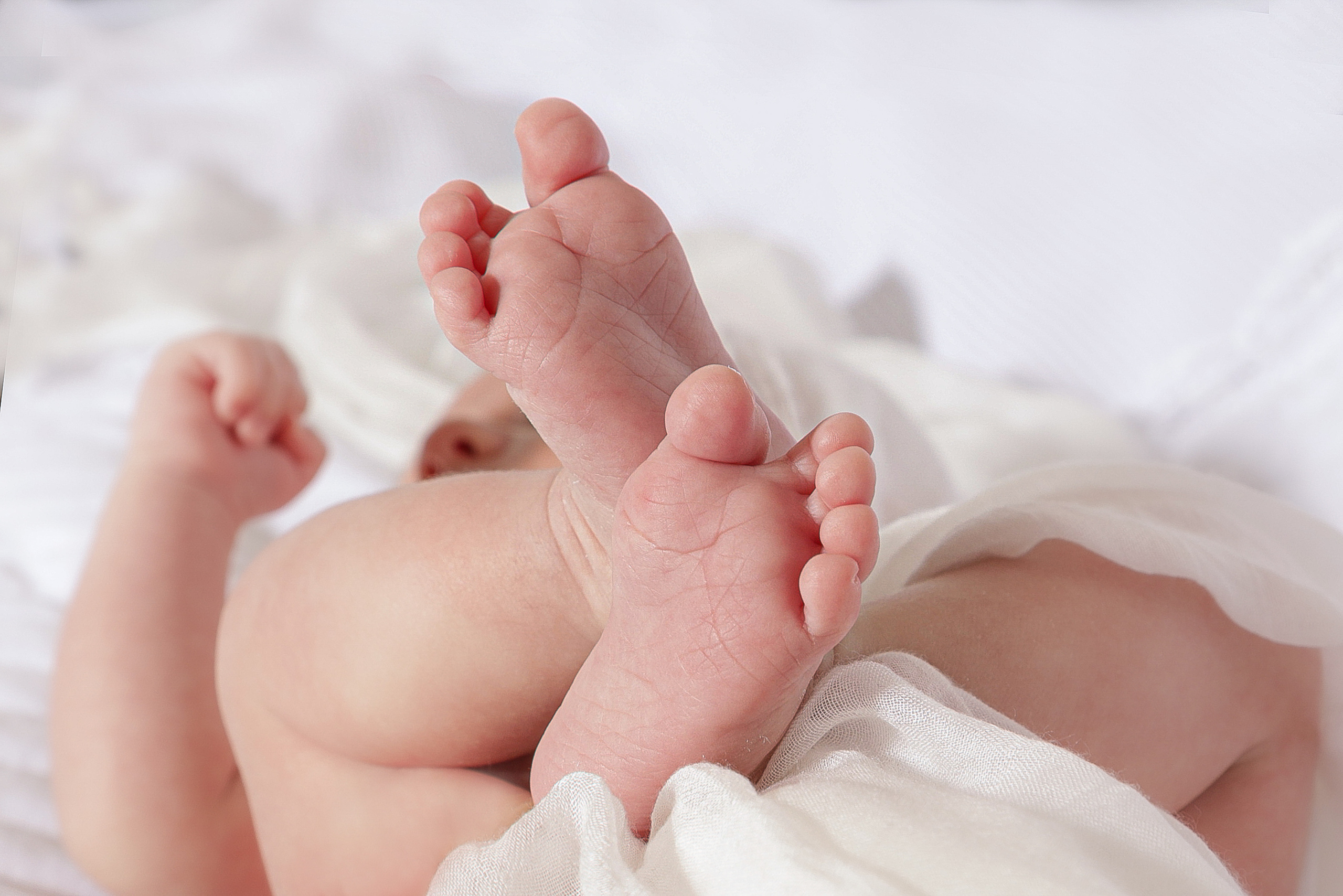 Newborn | Family | Maternity. Wedding and Event photography, Kisses + Veil