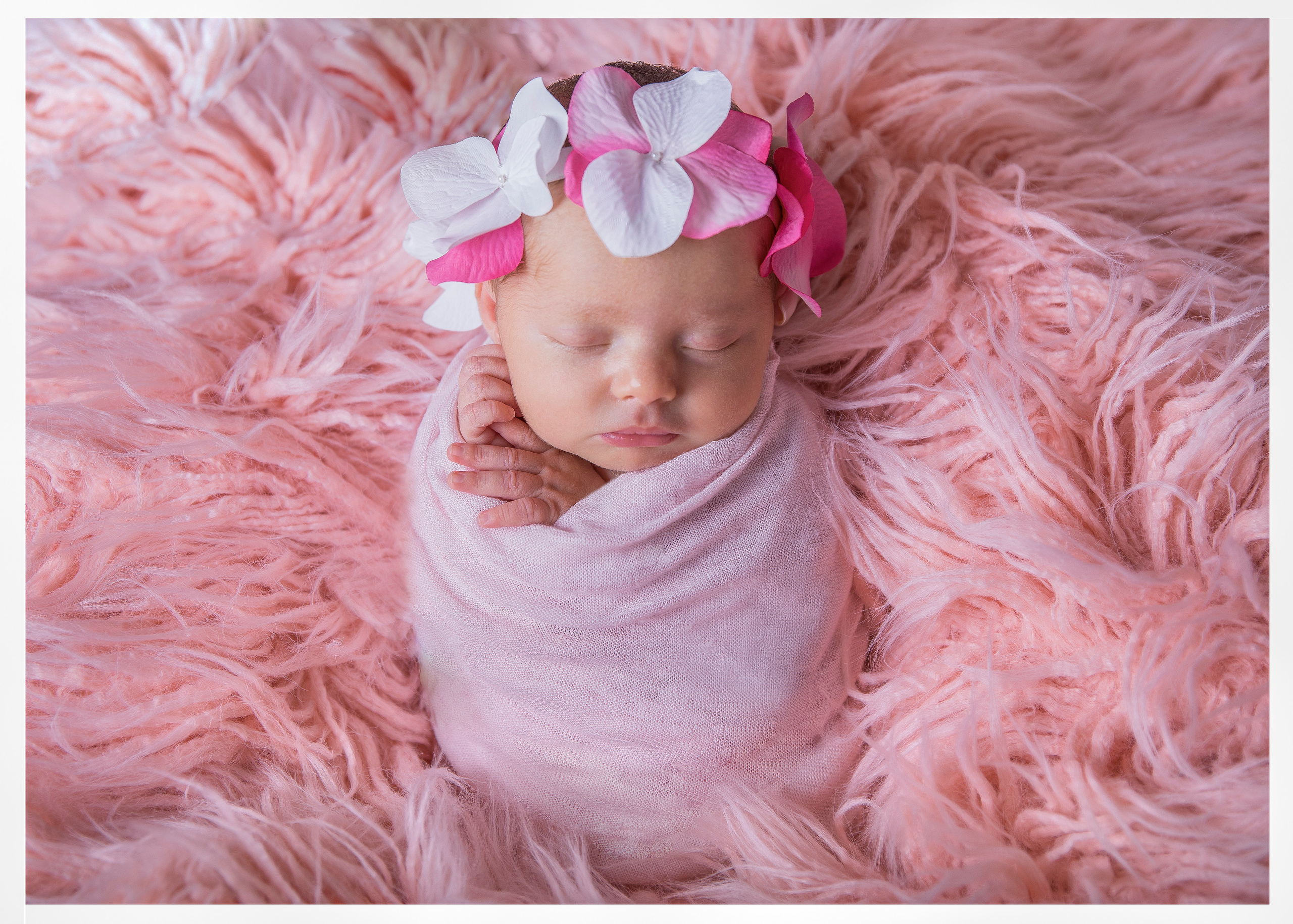 Newborn | Family | Maternity. Wedding and Event photography, Kisses + Veil