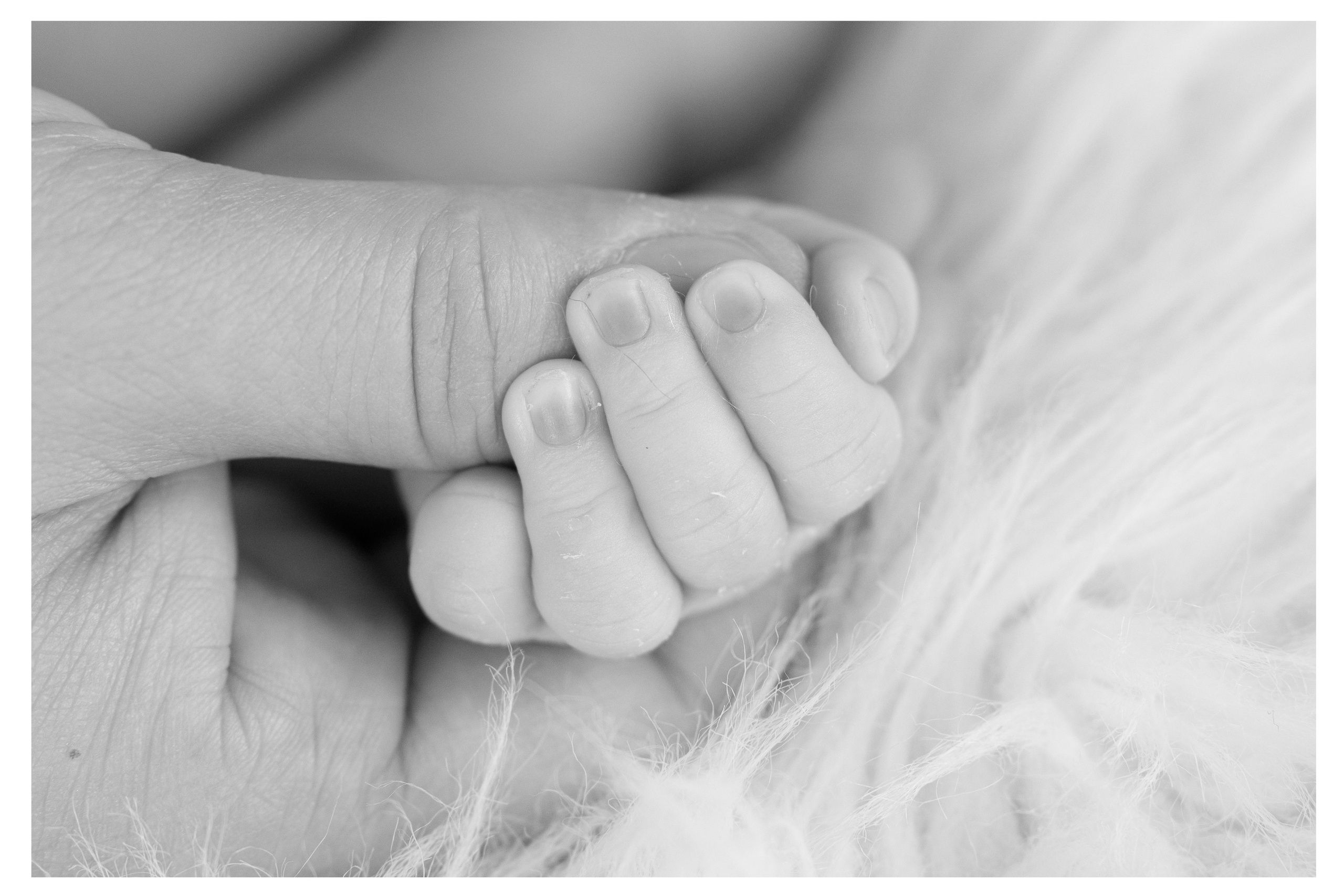 Newborn | Family | Maternity. Wedding and Event photography, Kisses + Veil