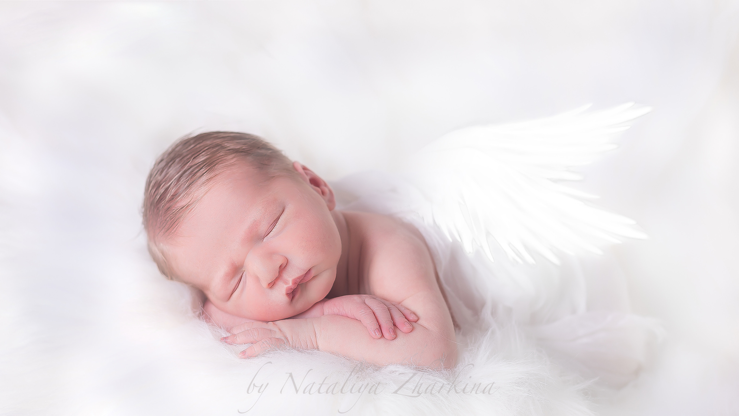 Newborn | Family | Maternity. Wedding and Event photography, Kisses + Veil