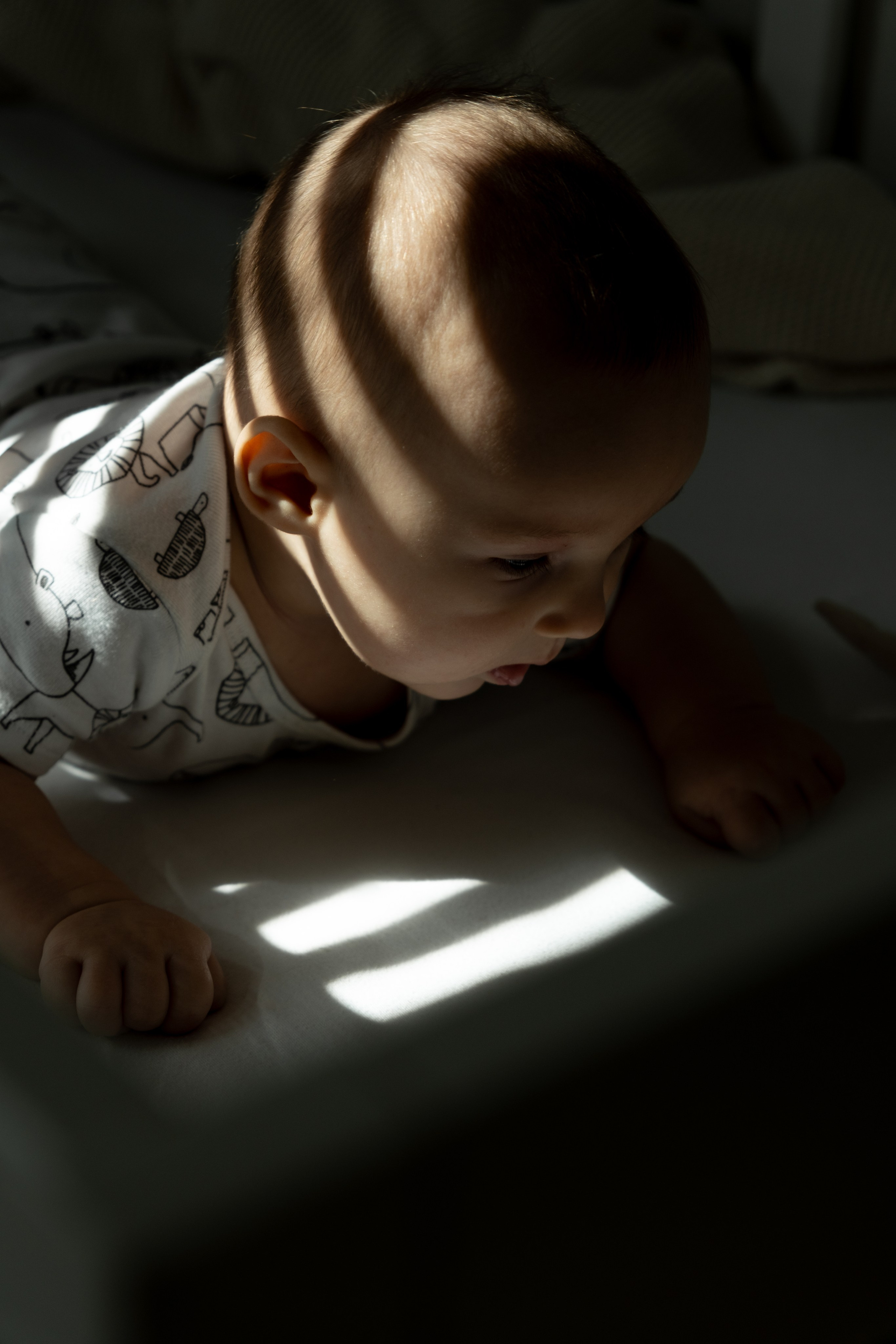 Veniamin. Photographer Vladmir Gladkov