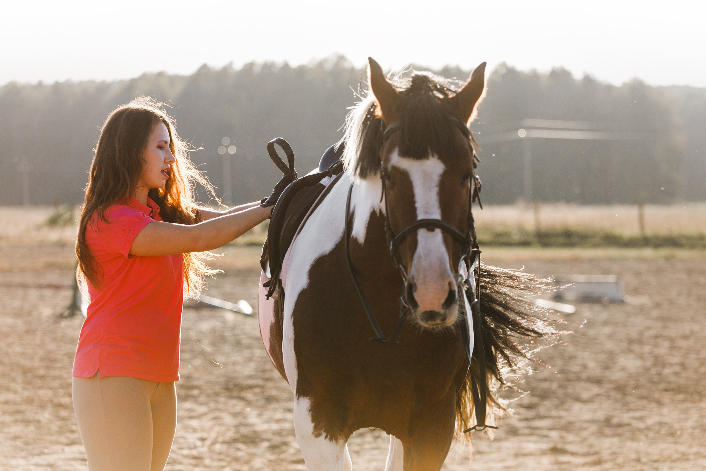 Pegas & Maximus | portrait shooting. Kaja | fotograf we Wrocławiu | ludzie i psy