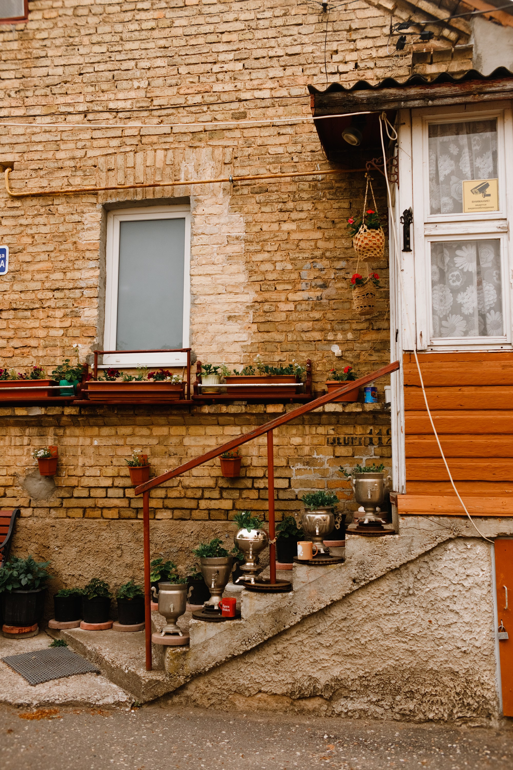 Grodno. Kaja | fotograf we Wrocławiu | ludzie i psy