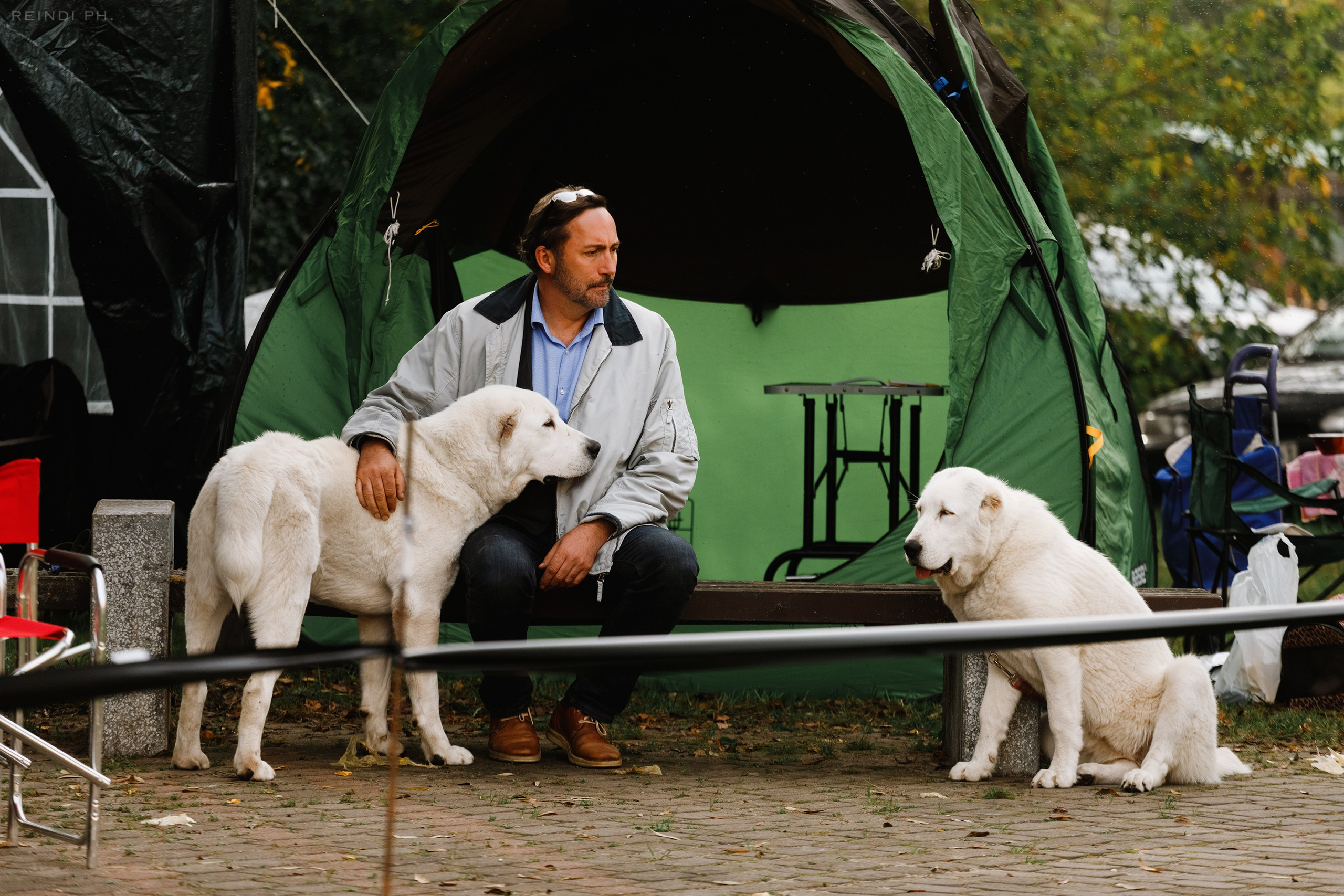 «Argus» dog show in Brest. Kaja | fotograf we Wrocławiu | ludzie i psy