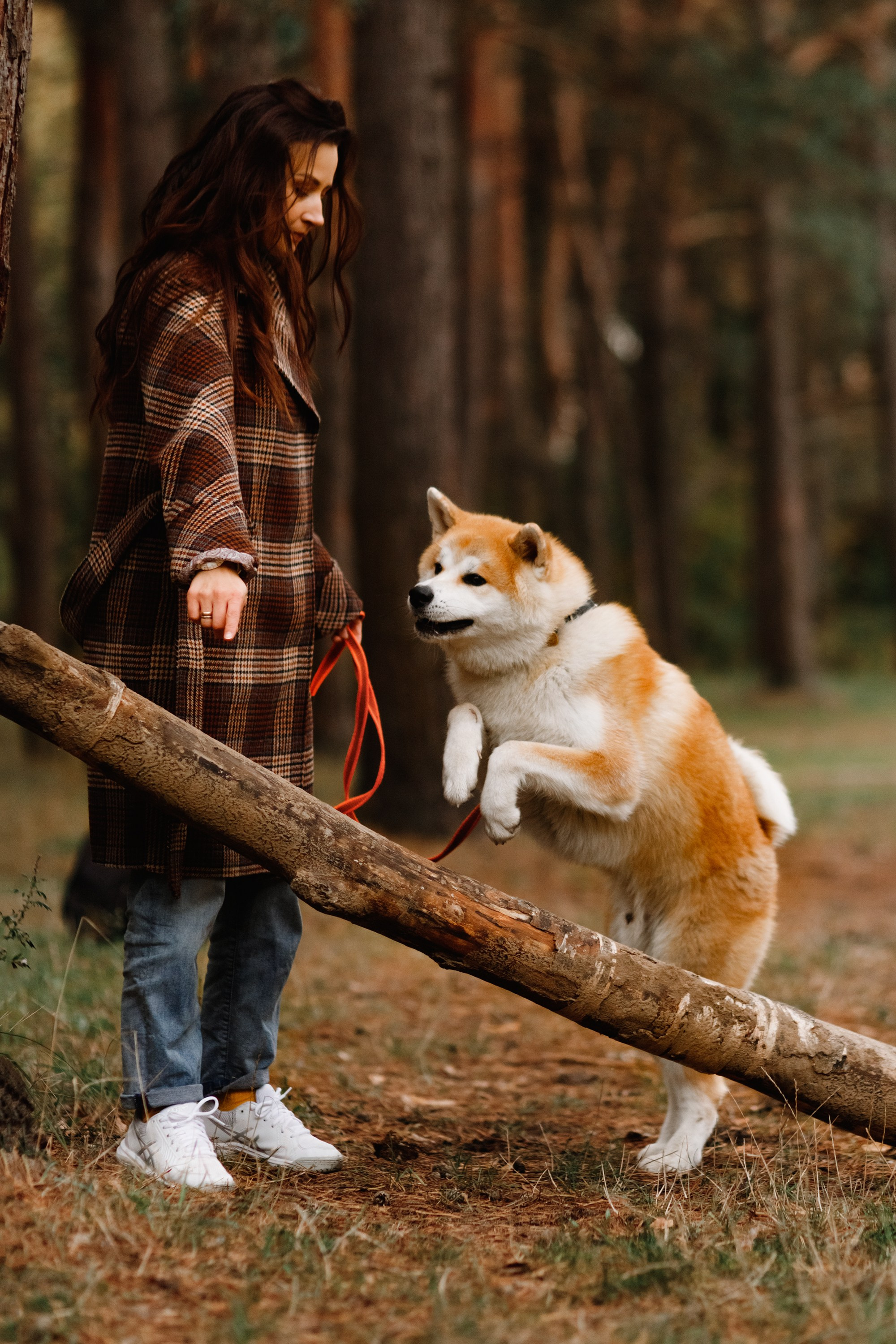 Maria & Kenji. Kaja | fotograf we Wrocławiu | ludzie i psy