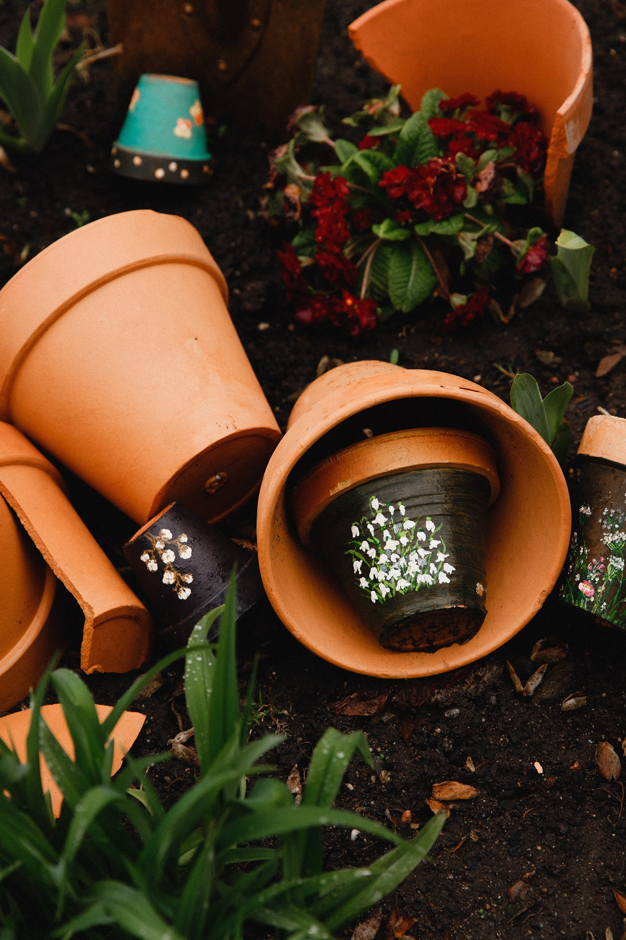 Botanical garden in Wroclaw. Kaja | fotograf we Wrocławiu | ludzie i psy