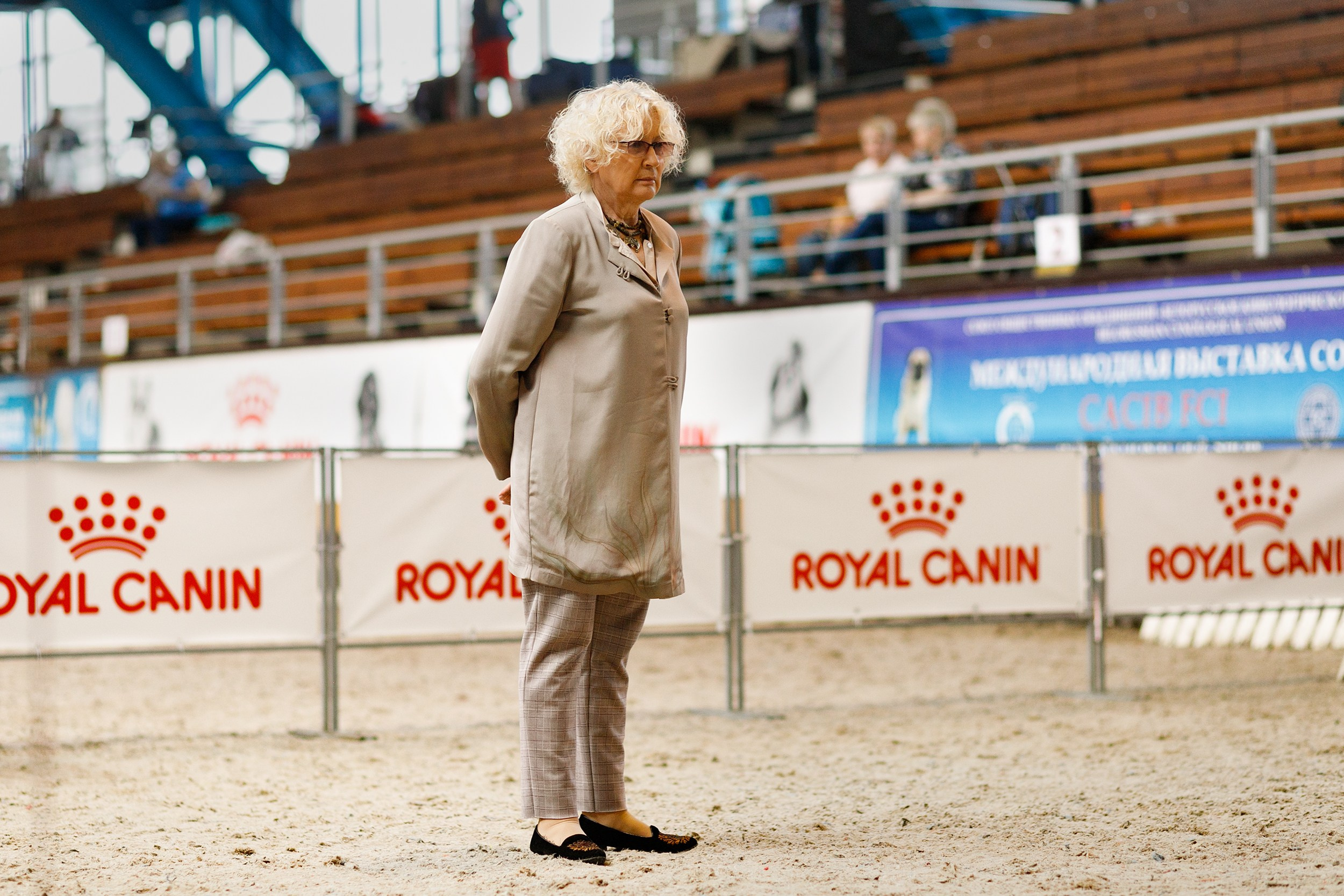 Dog shows | the best ones. Kaja | fotograf psów we Wrocławiu