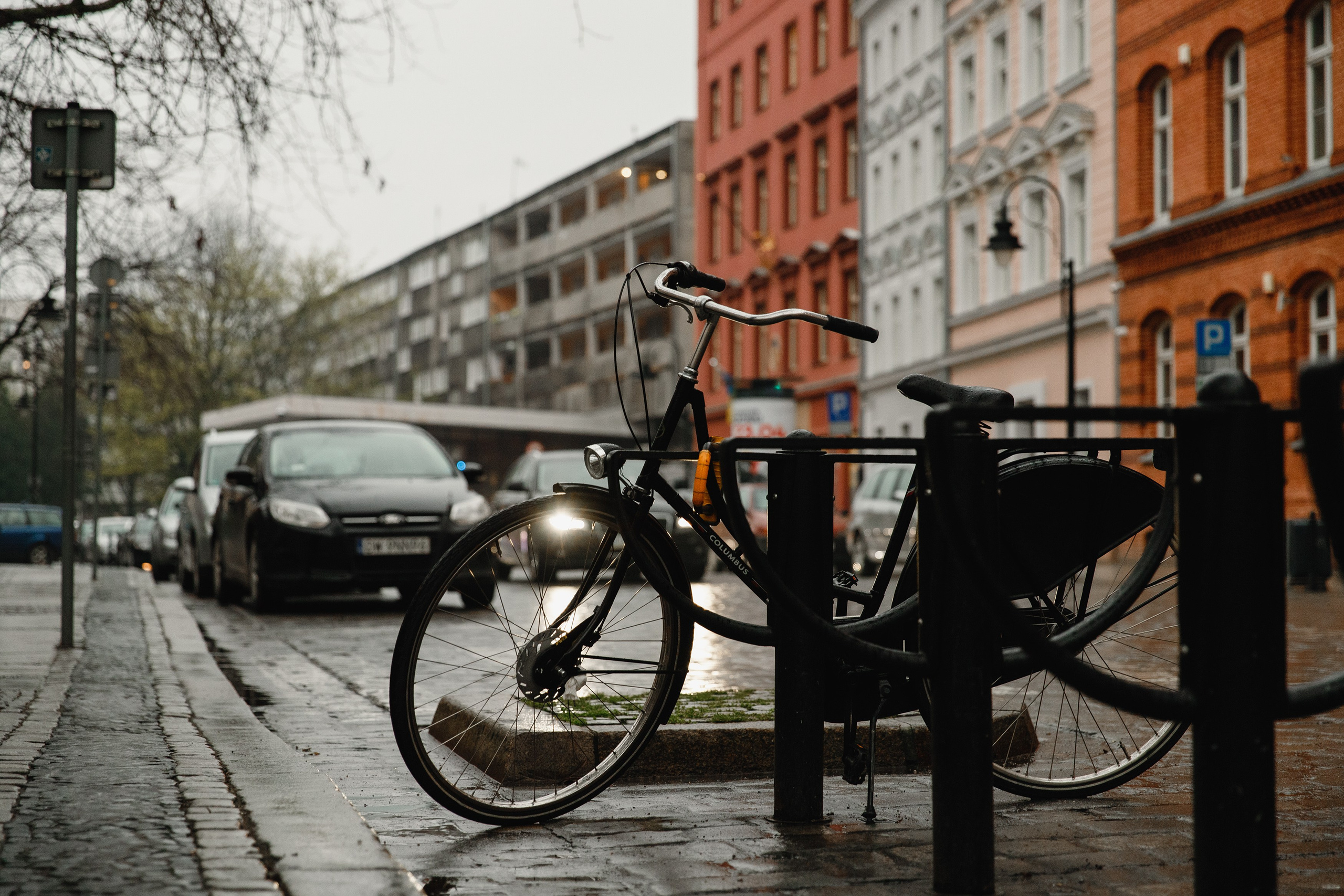 Wroclaw | the best ones. Kaja | fotograf psów we Wrocławiu