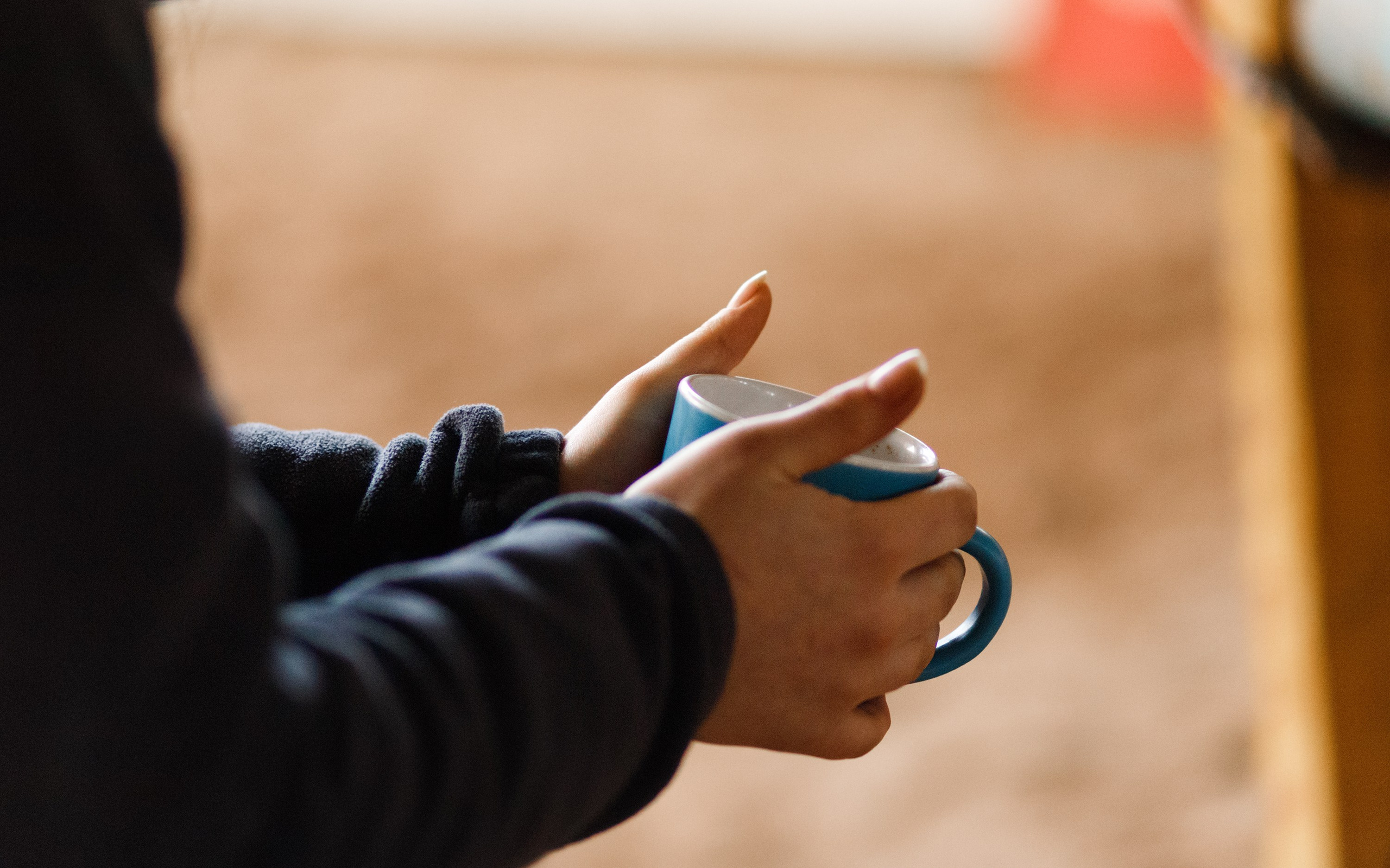 Winter show jumping in «Progress». Kaja | fotograf we Wrocławiu | ludzie i psy