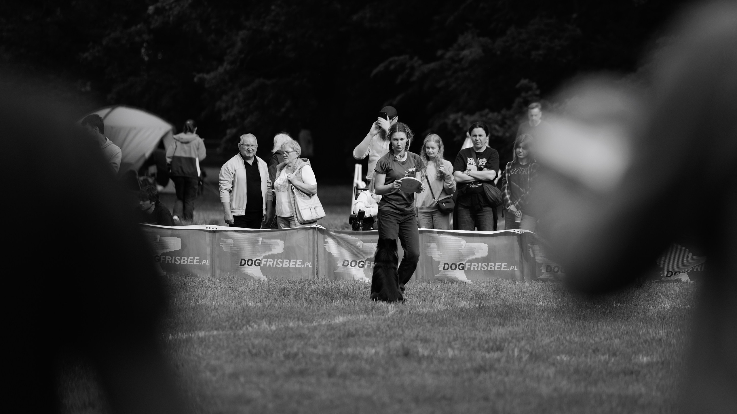 Latające psy, Wrocław'25. Kaja | fotograf psów we Wrocławiu