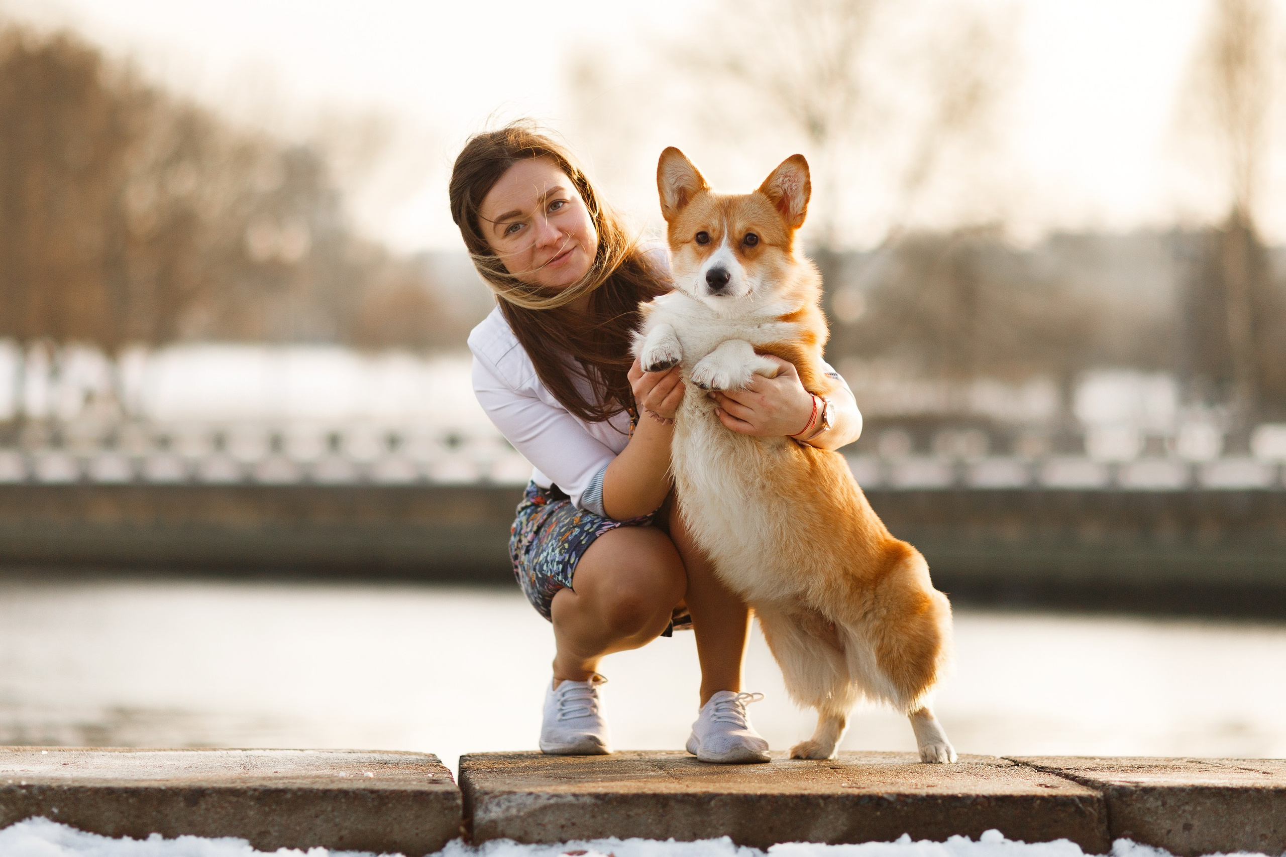 Dog shows | the best ones. Kaja | fotograf psów we Wrocławiu