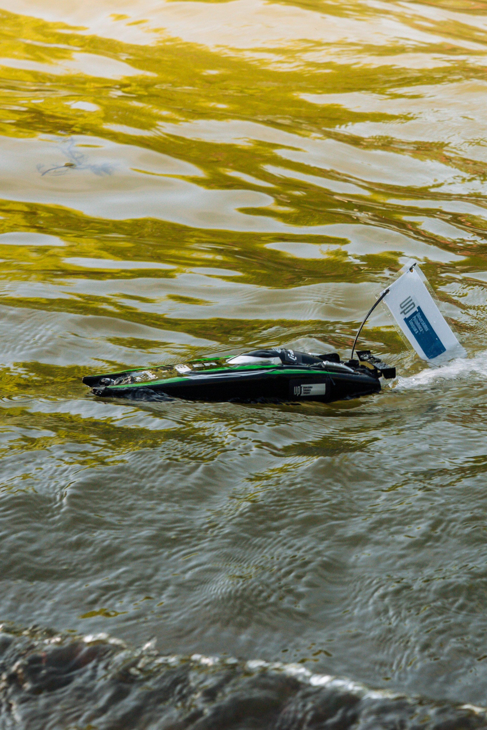 06.04 Bega Boat Race. Cozac Cristian Photographer