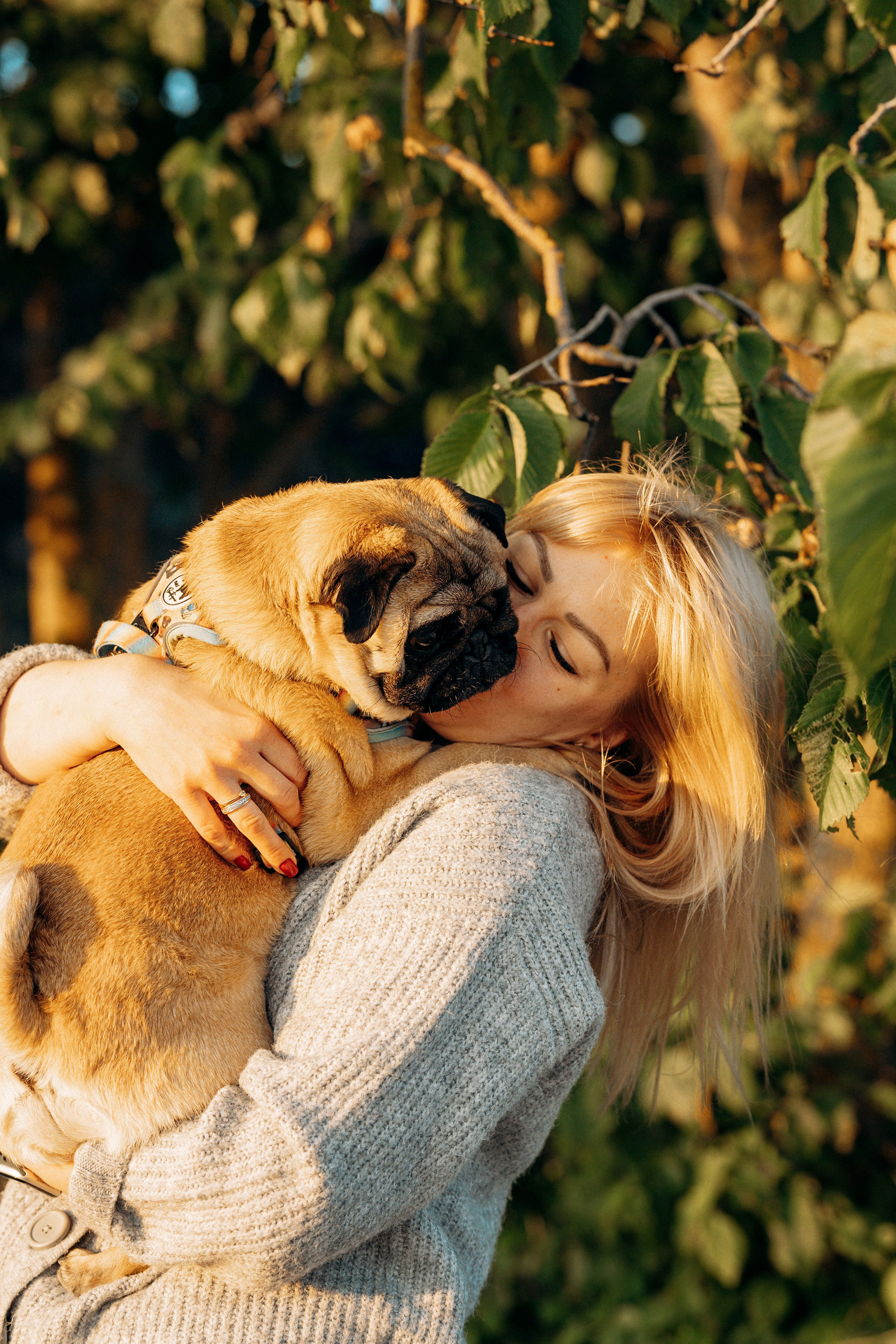 Frank, Tony, Katerina & Lev. Kat Laisaar — Pet photographer in Tallinn