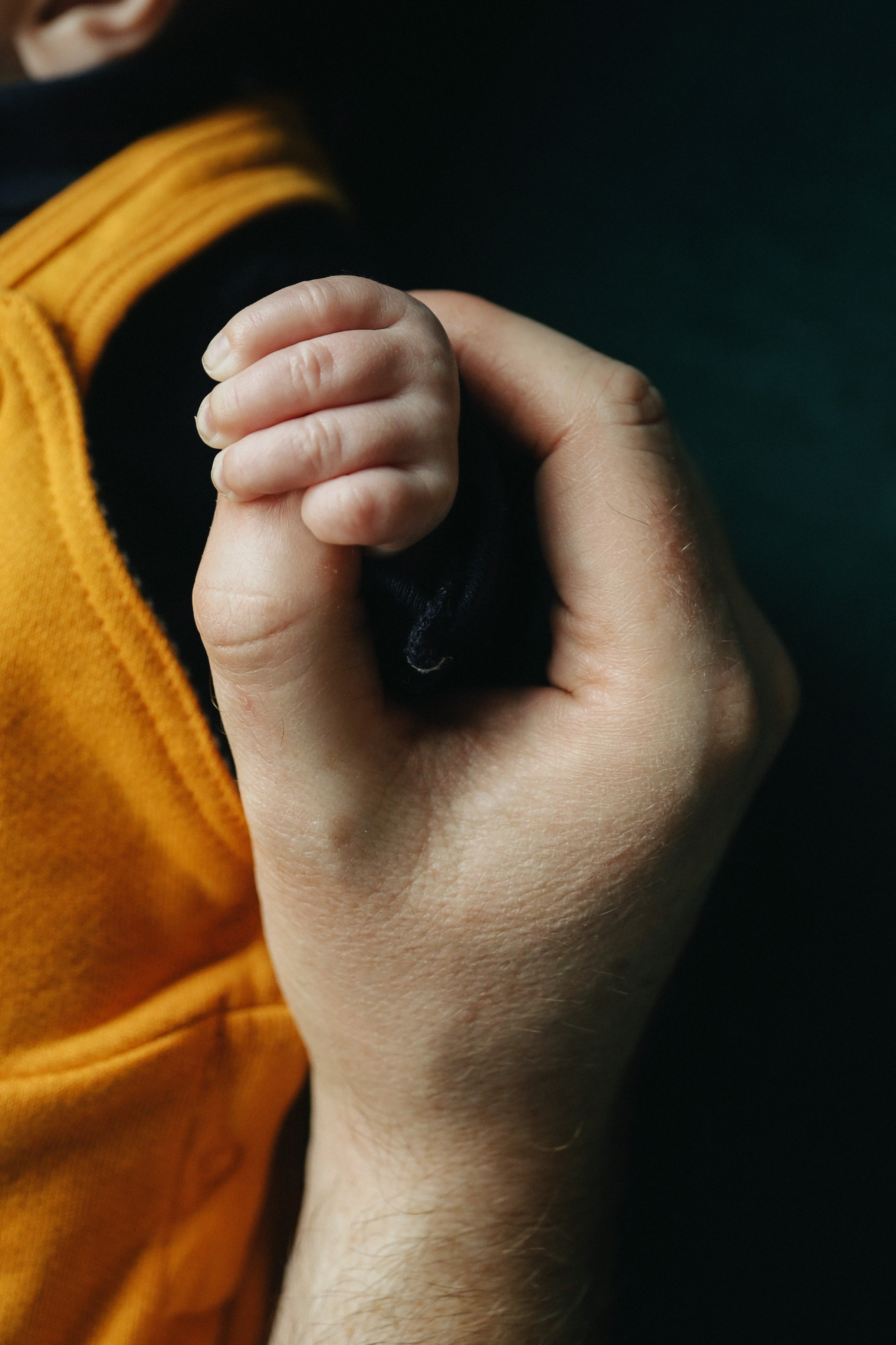 Robin. Newborn and Family Photographer in Bromley, London, Liliya Potekhina