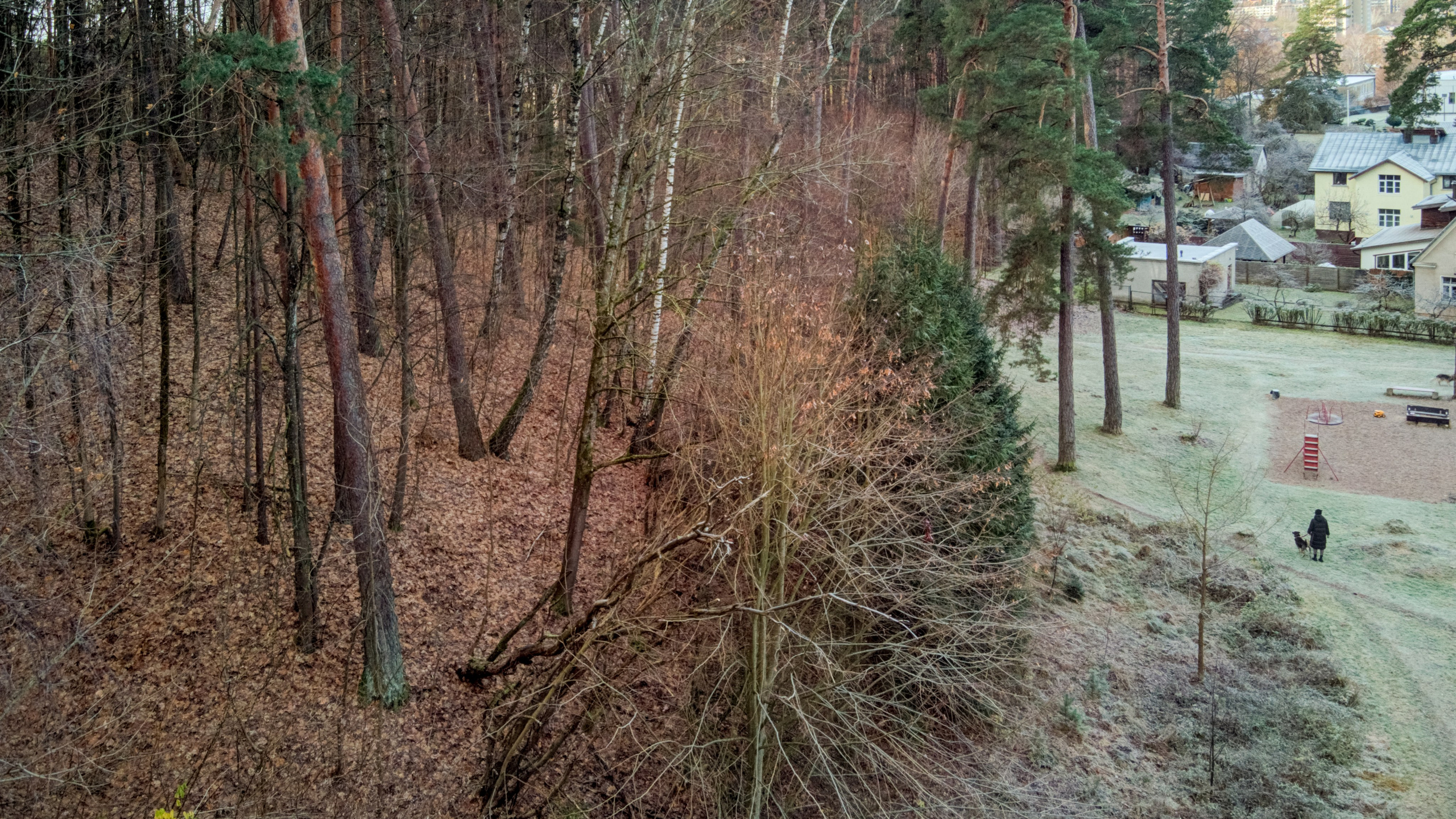 Dronas Antakalnis, Kanklių 10. Elina Sapiega fotografė Vilniuje