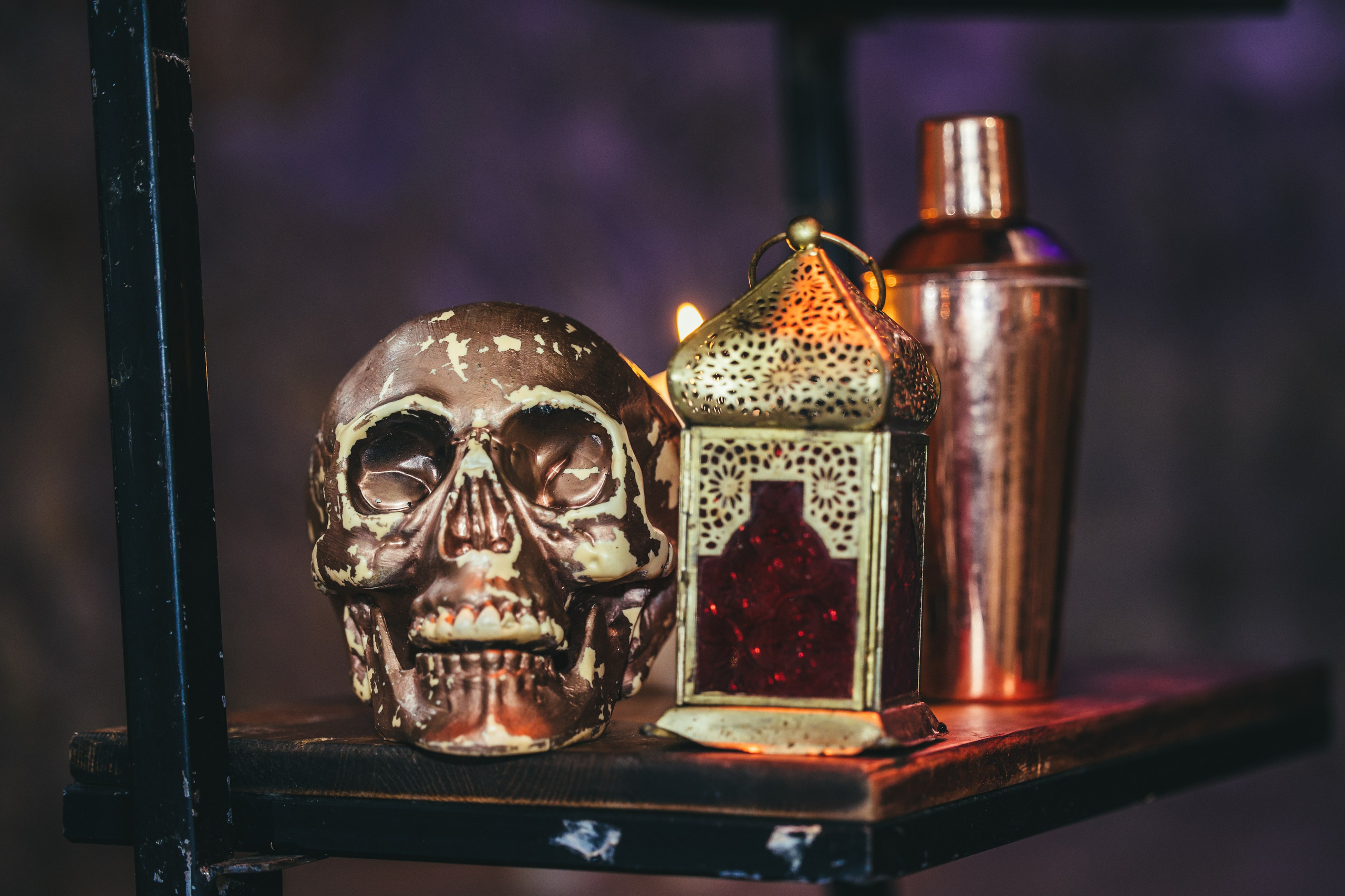 זרעי גדרה — SYNGENTA. AMIR BUCHNIK PHOTOGRAPHER