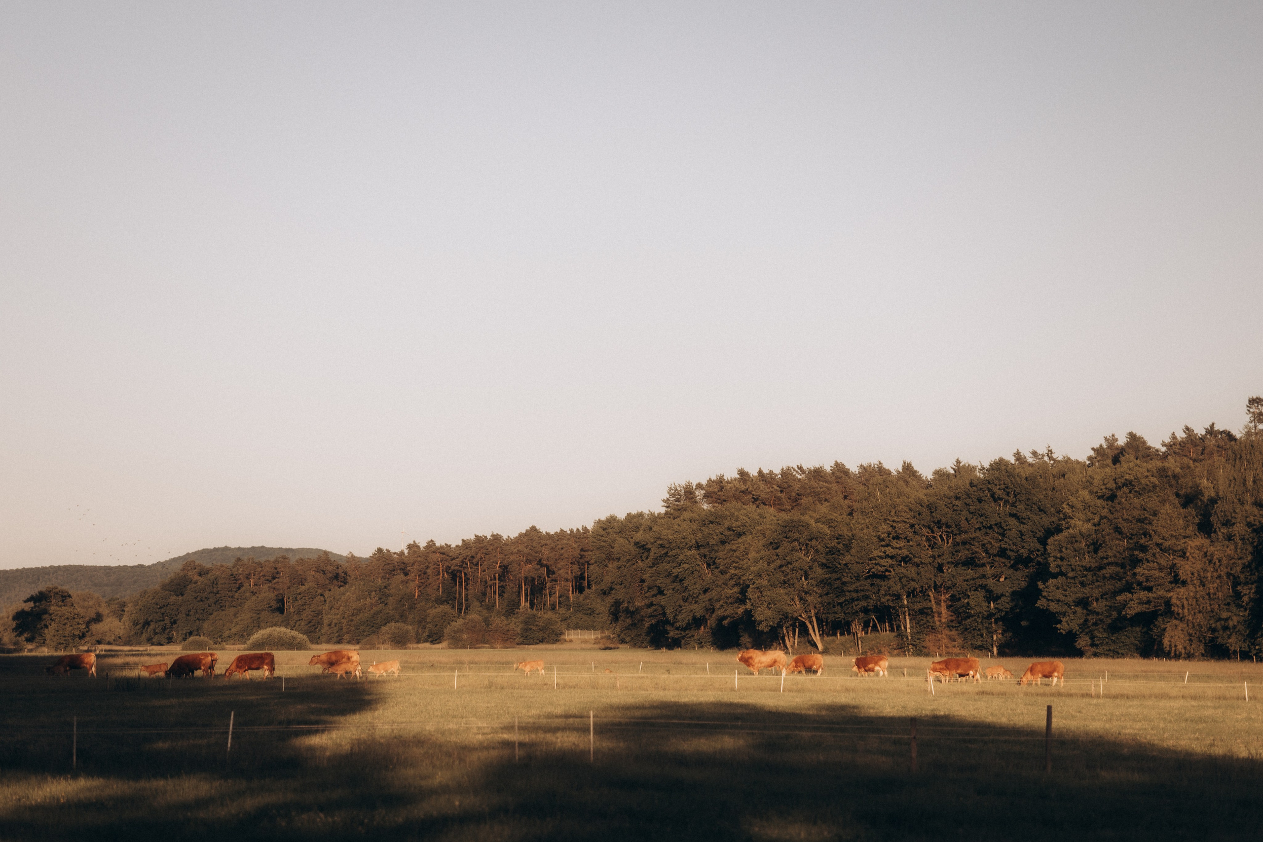 Liebevolle Momente. Julia Sööt Fotografie