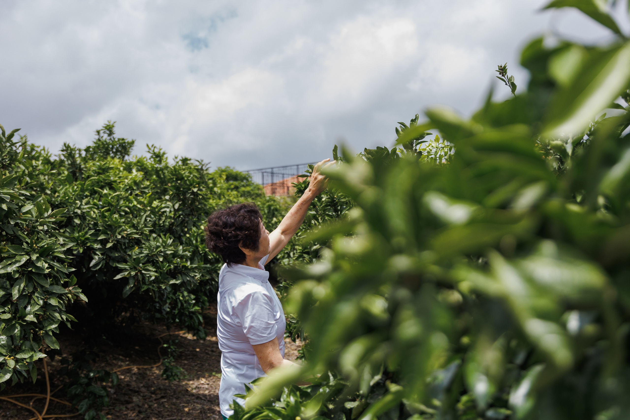 Jeju Island K-Beauty Tour (bohicare). Portrait photographer in South Korea Olga Lian