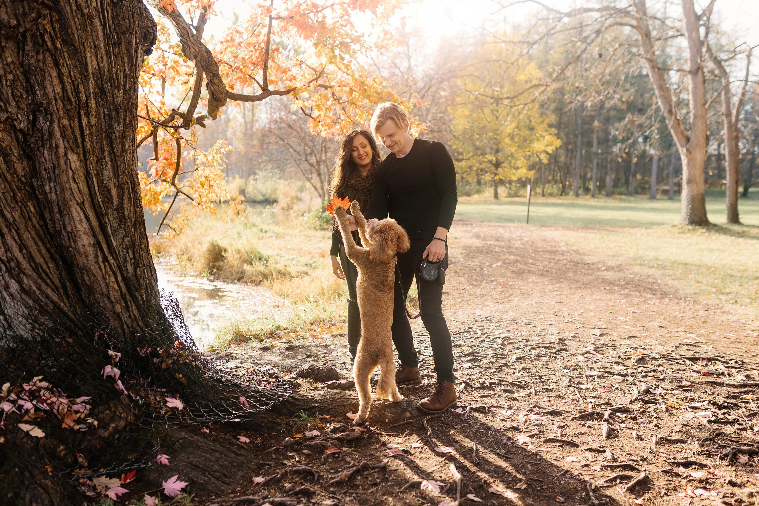 11.02.2024 Love Story. Wedding family event photographer in Chicago Nick Yushevich