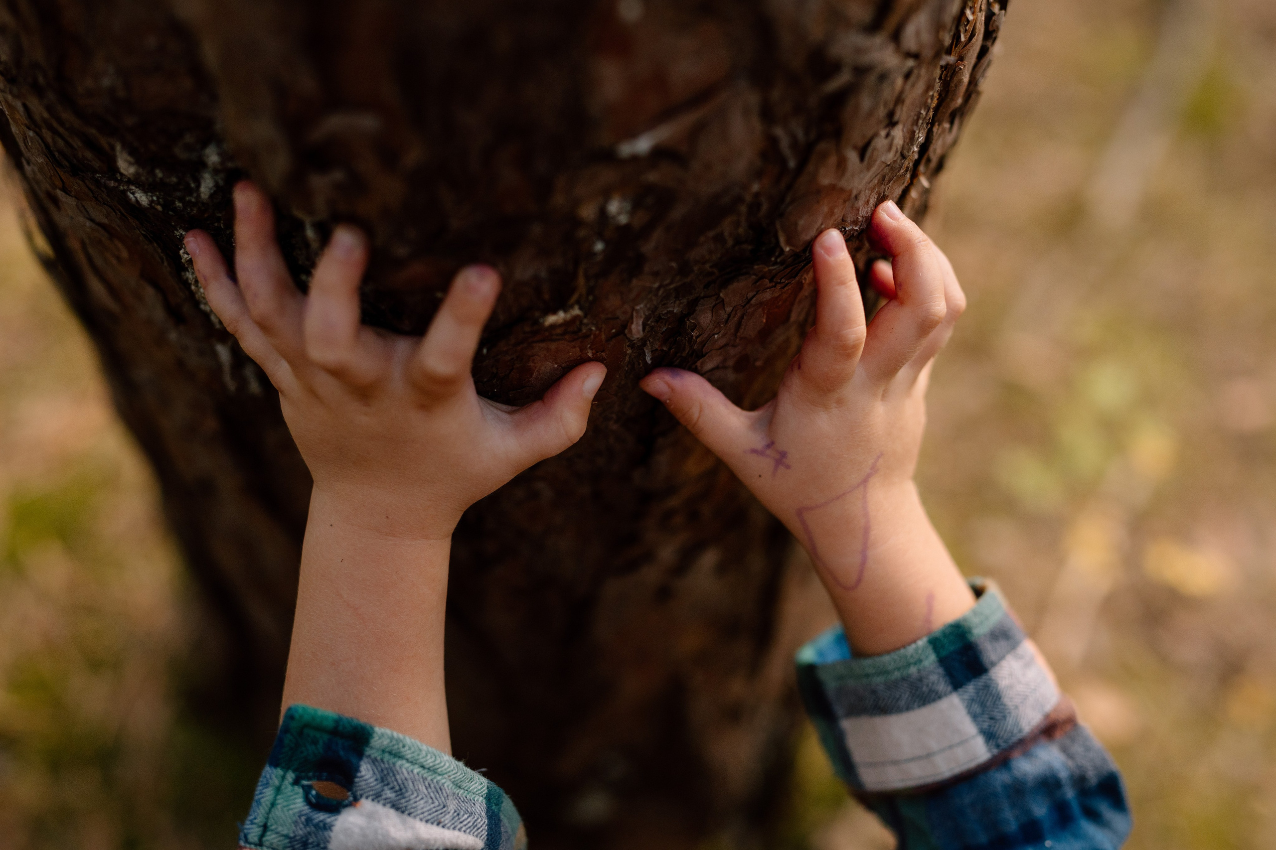 Sanziana, Daniel & Alexandru — Family. Main