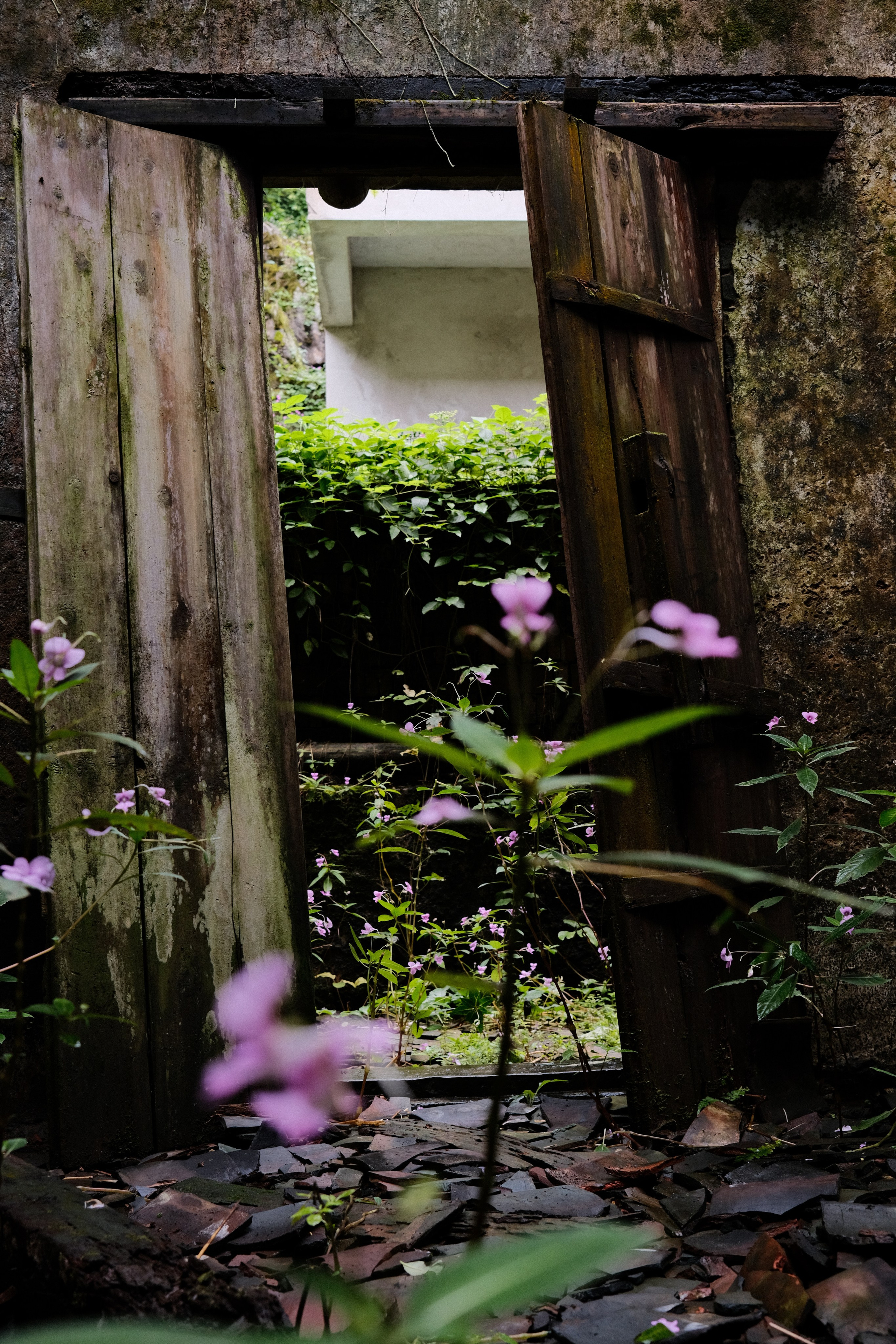 Yangshuo China Guiling. Фотограф В Гуанчжоу и Шэньчжэнь Андрей Лопатин