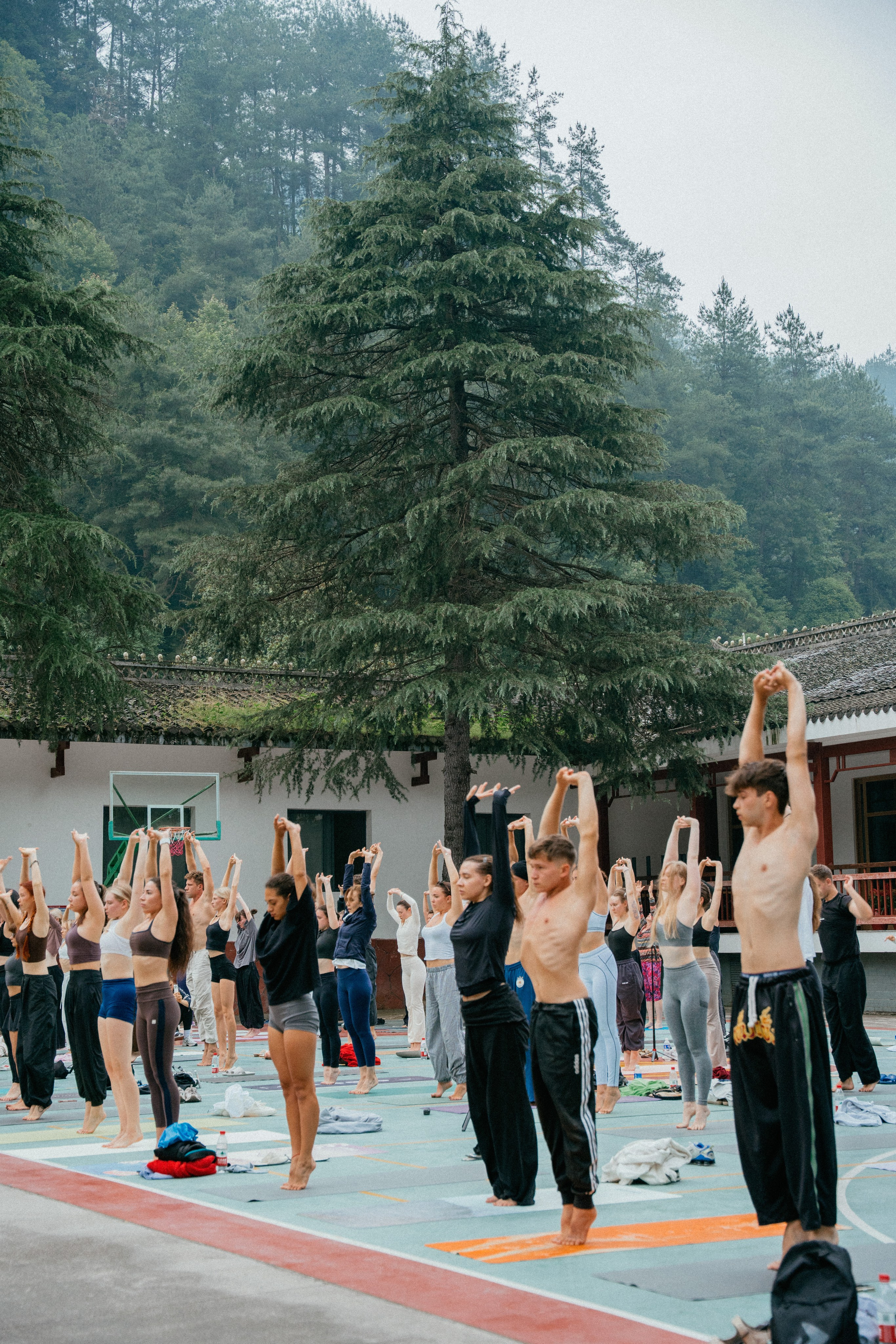 FYSM yoga Ретрит ZHANG JIA JIE. Фотограф В Гуанчжоу и Шэньчжэнь Андрей Лопатин