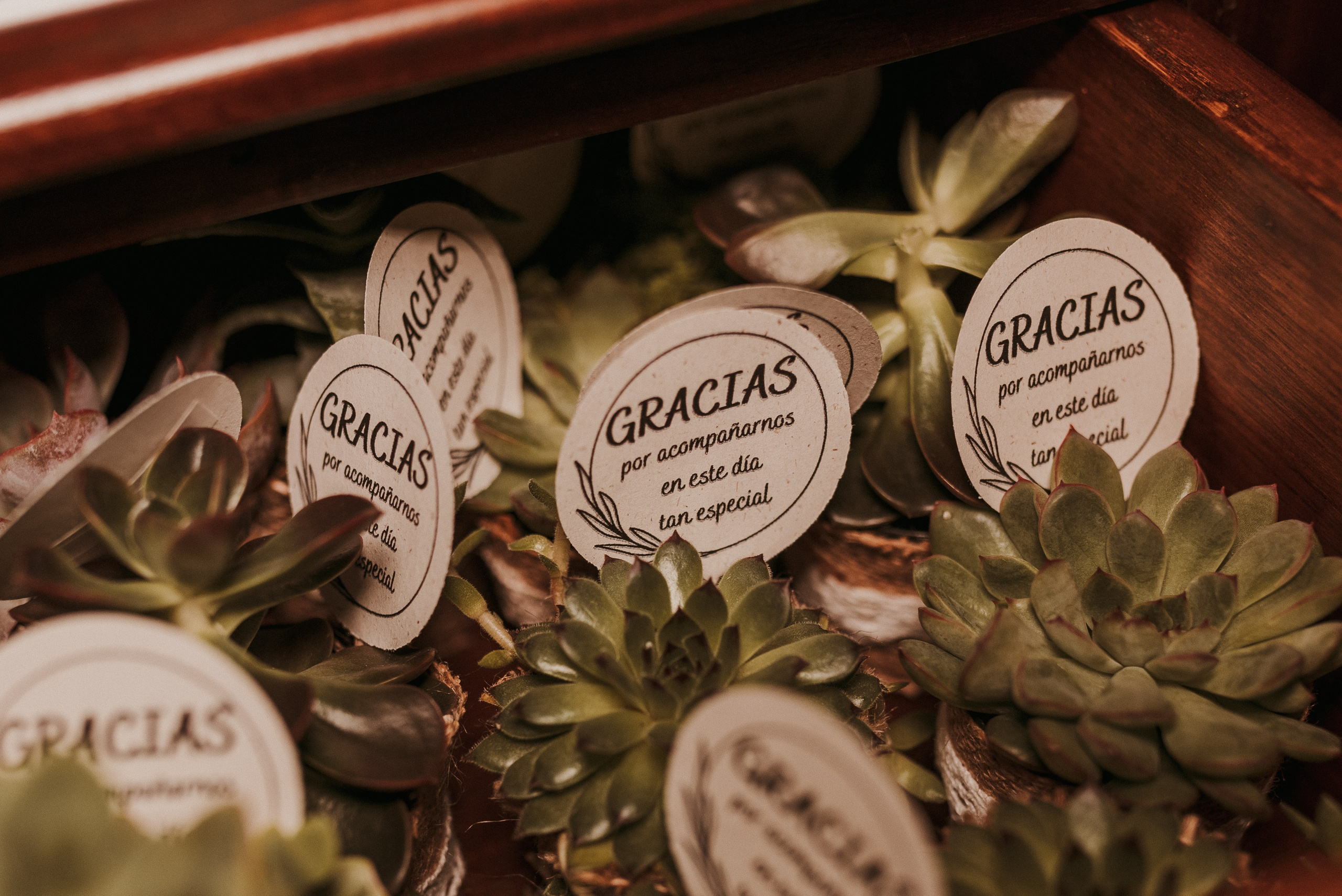 Alba & Jorge. Photographe de mariage et de famille à Braga — Alexandra Mieres Photography