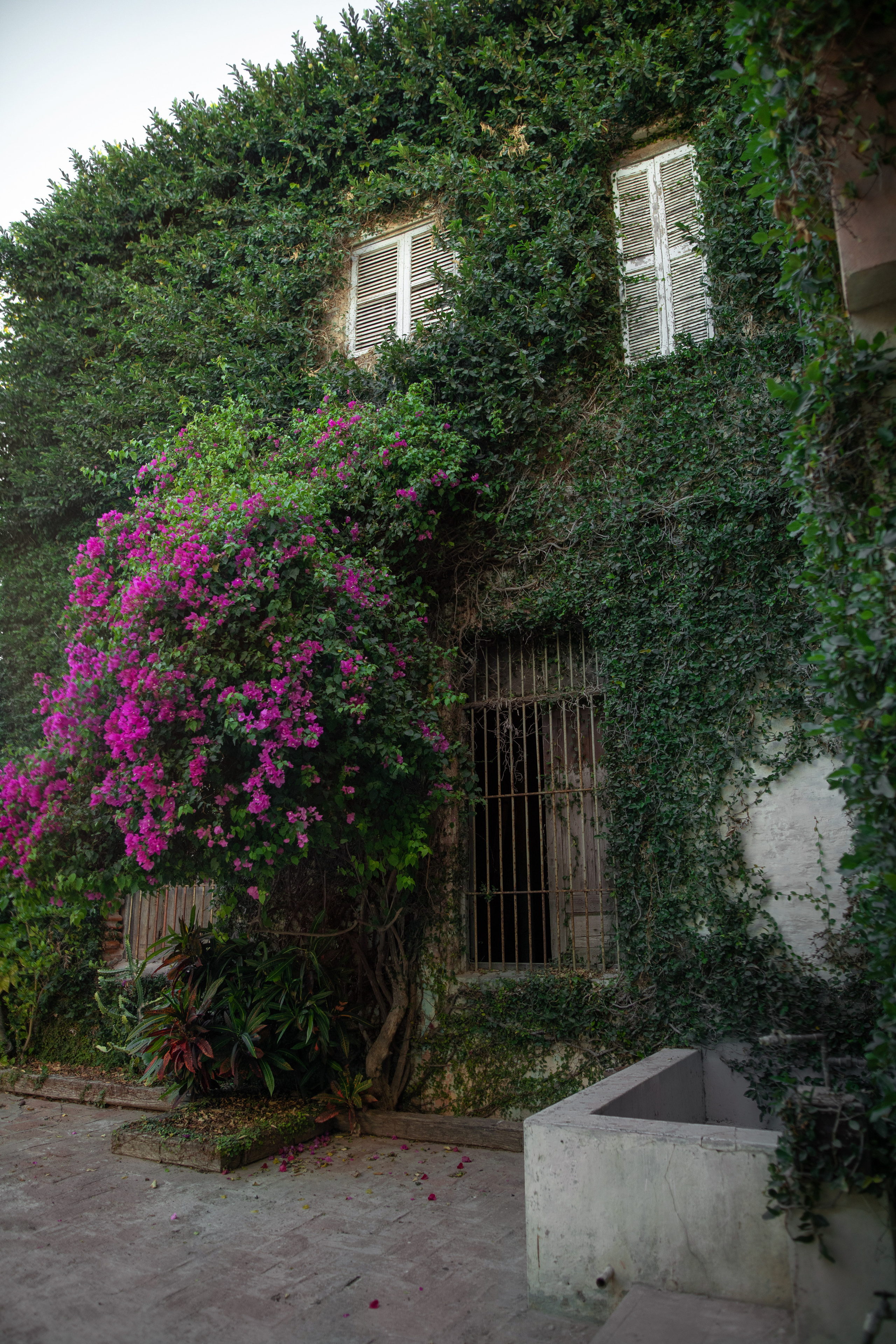 Fotografia inmobiliaria en Mazatlan. Виктория Кастельянос. Русскоязычный фотограф в Мексике