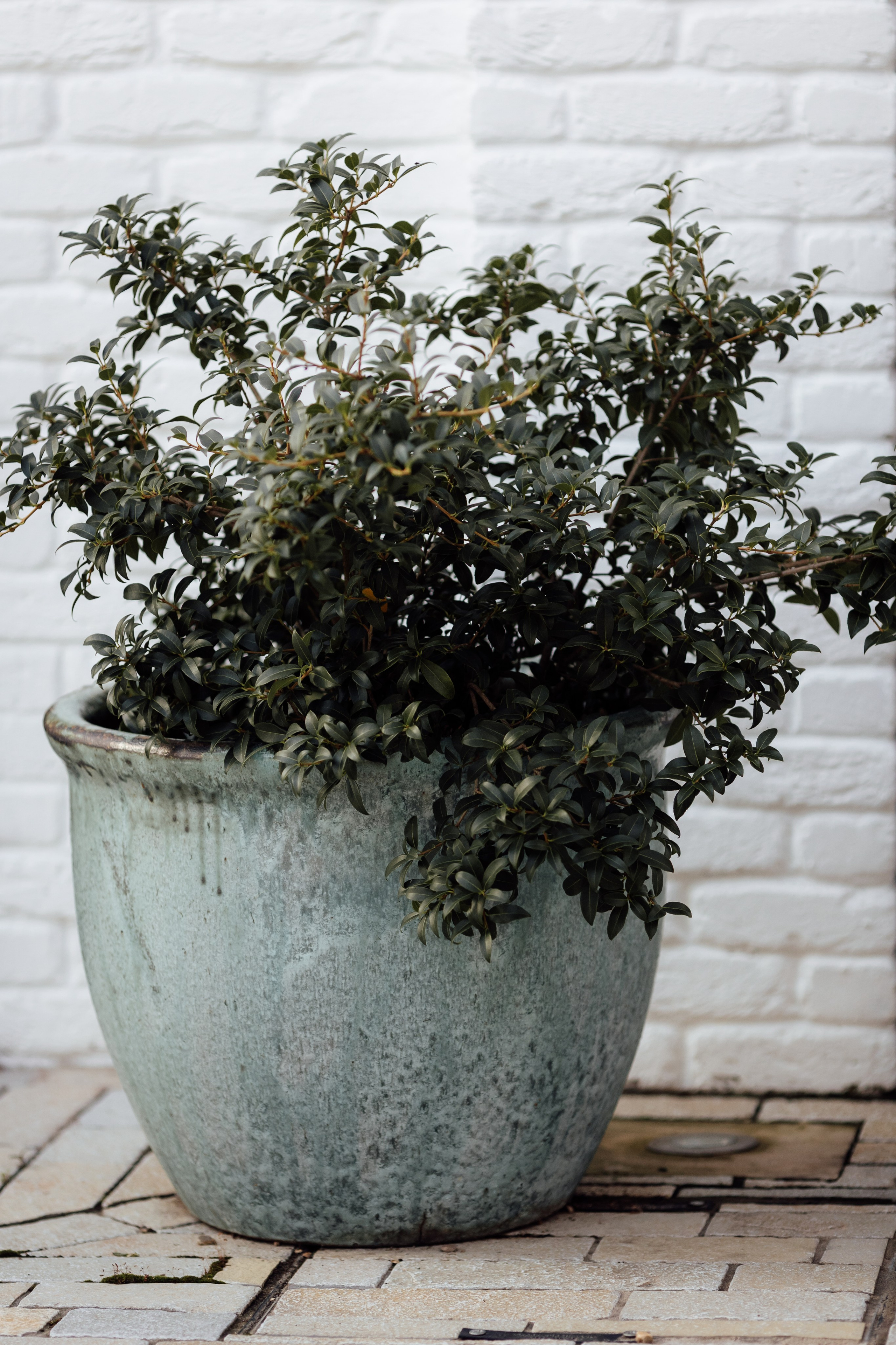 Limekiln, East Sussex, UK. 2025. Timeless Wedding & Event Photography — based London, working across Europe