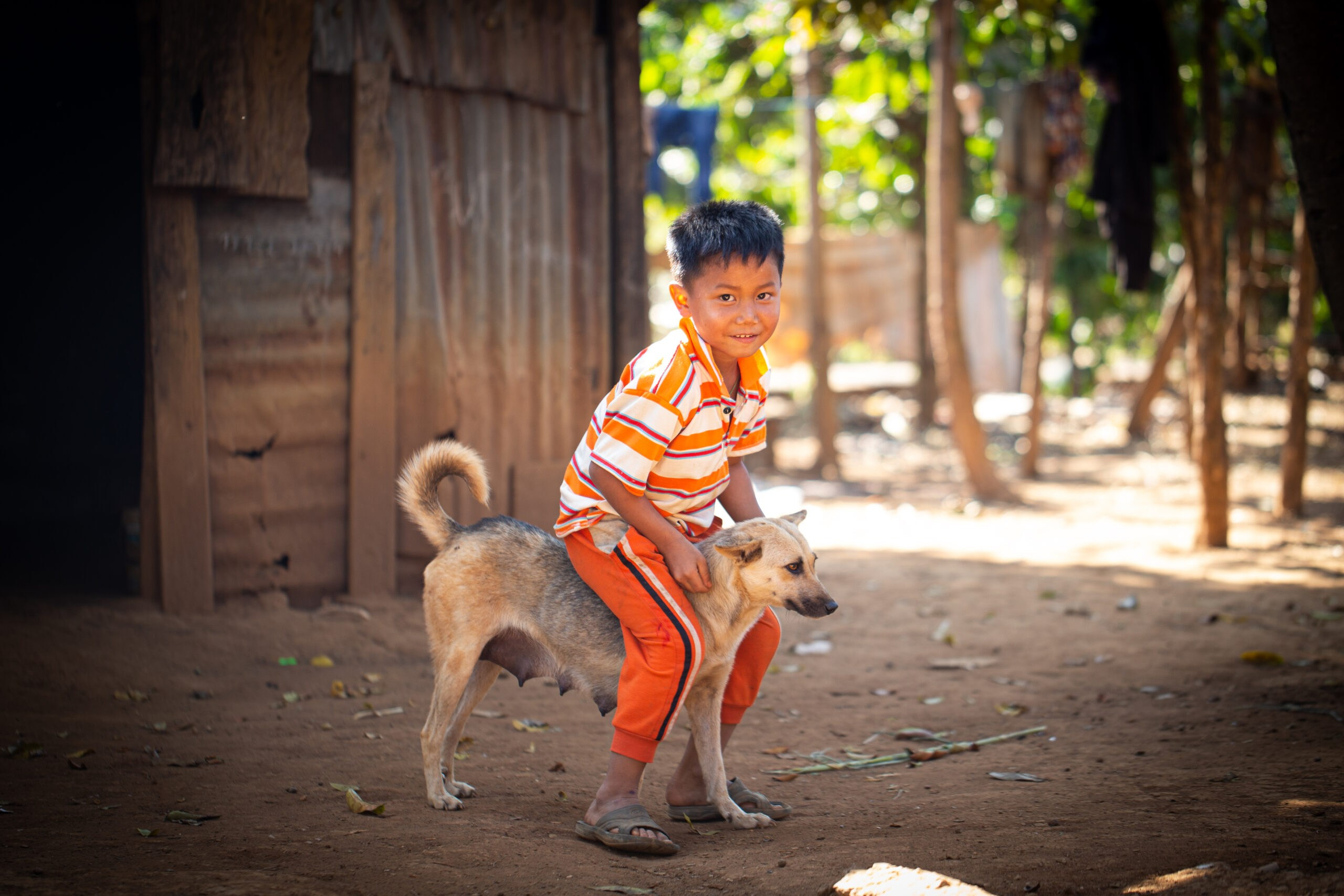 Landscape. Noam Paradise Photographer