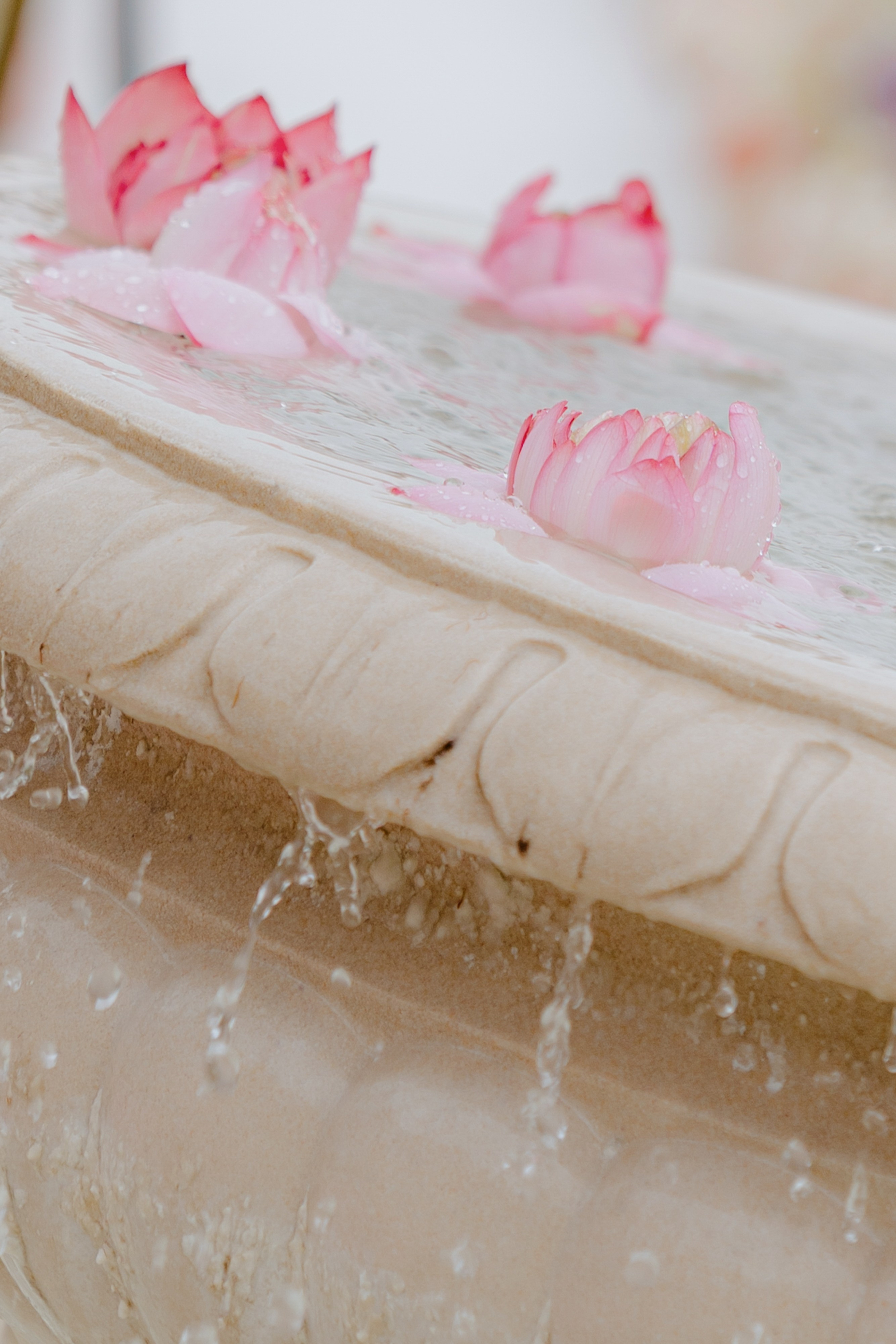 Luxury Indian Wedding Photography Gallery | New York & New Jersey & Florida | Vova Chi. Wedding photographer and videographer New York | New Jersey