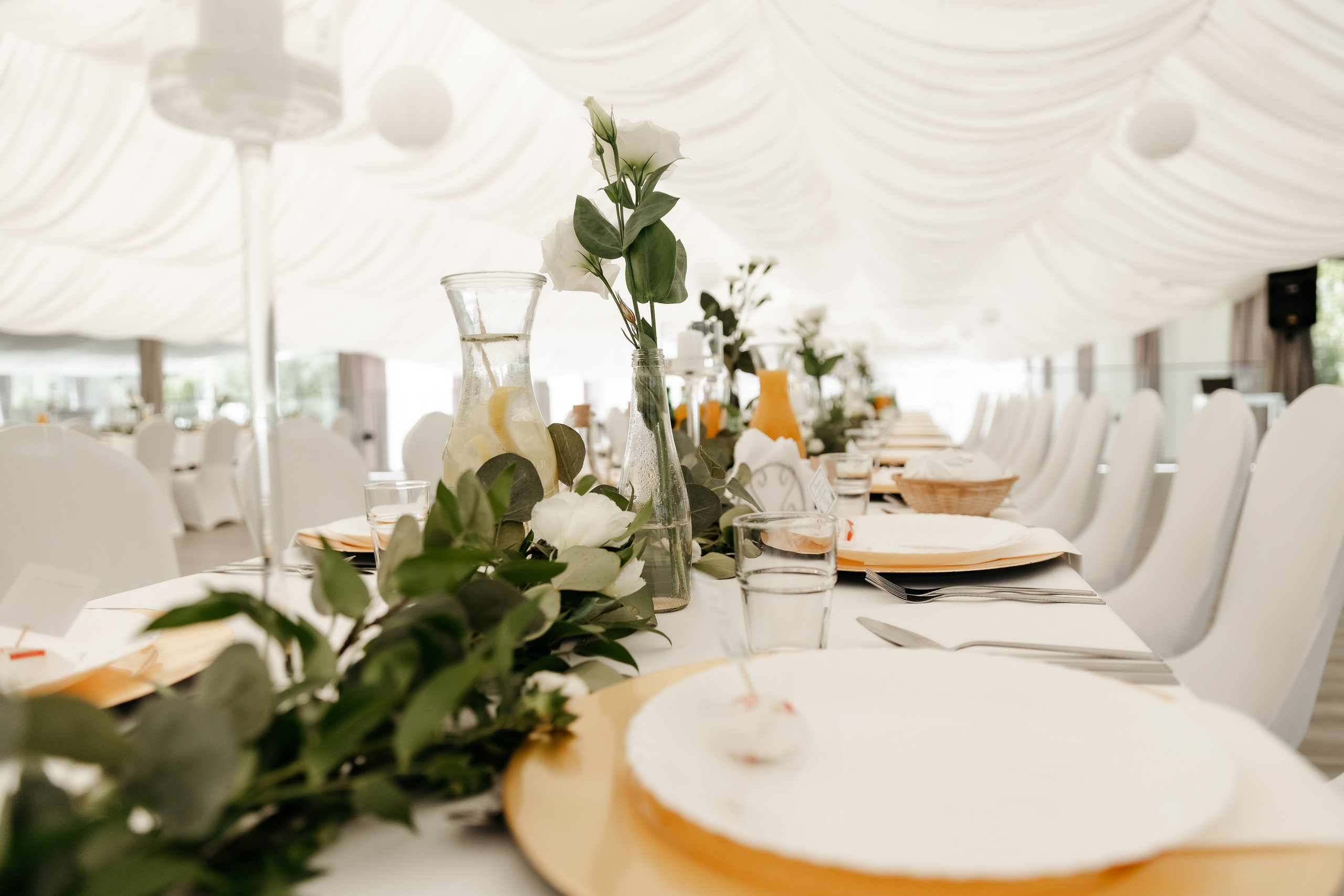 Аліна та Давид. Ірина Терещук