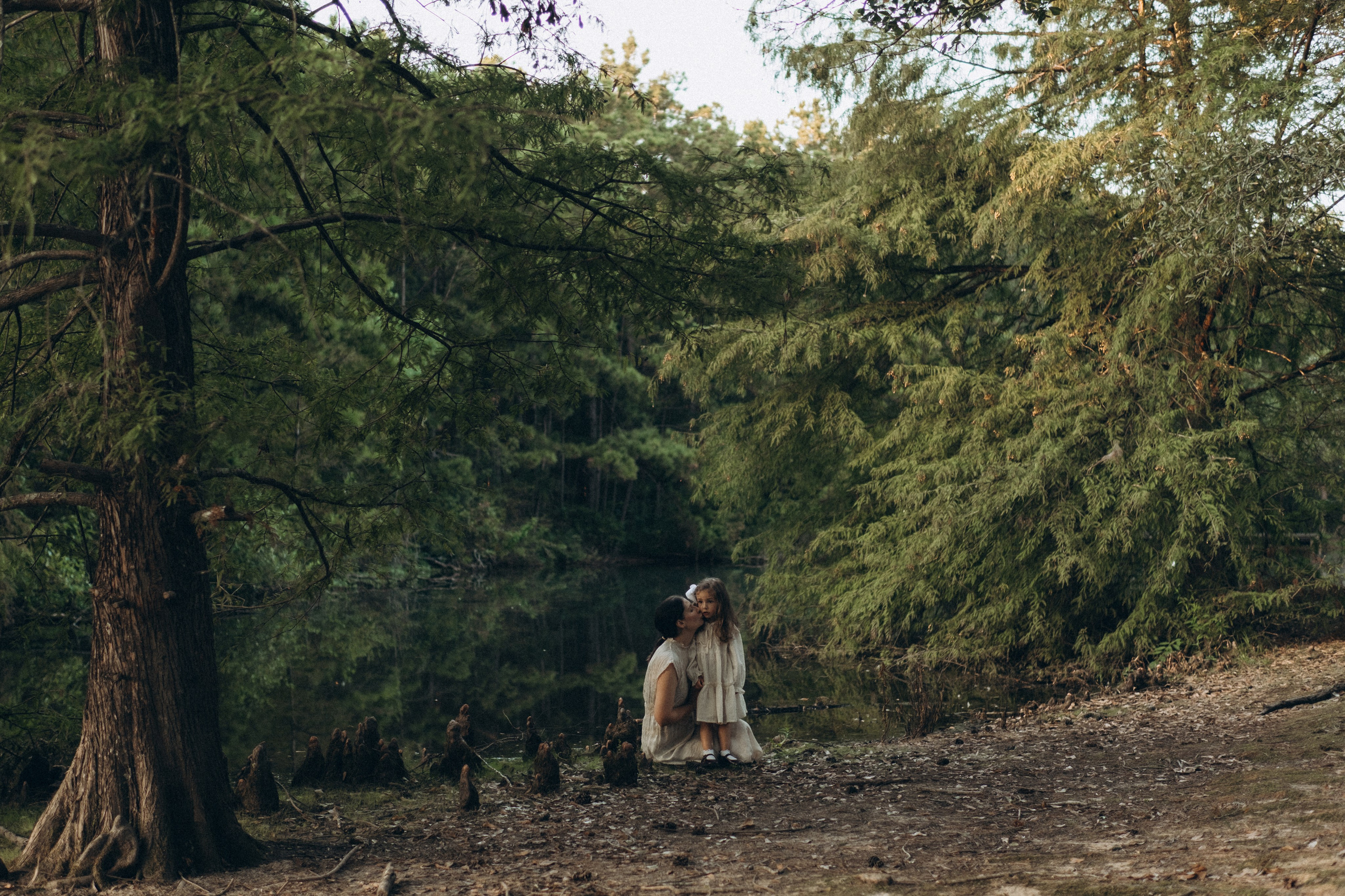 The Woodlands. Lens Captures Life