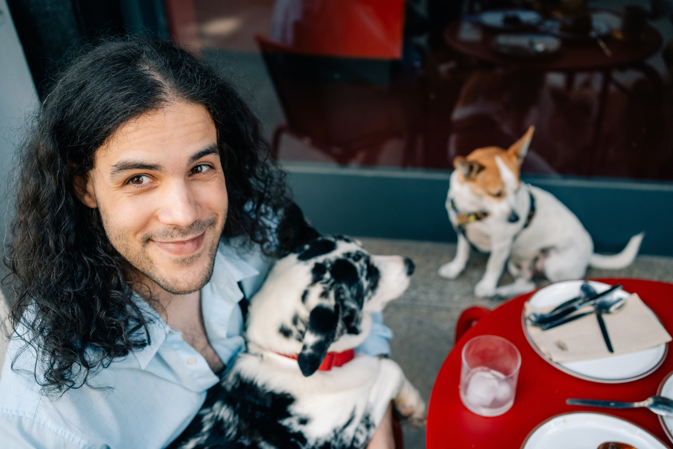 Yana & Pedro & Doggos. Maria Sher. Professional photographer from Porto, Portugal