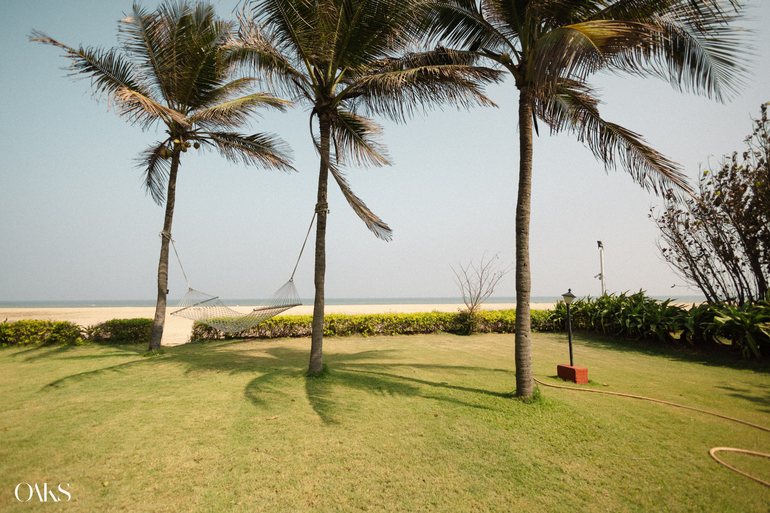 Rahul Pooja. Wedding & Editorial Photographer | Anandshivadas