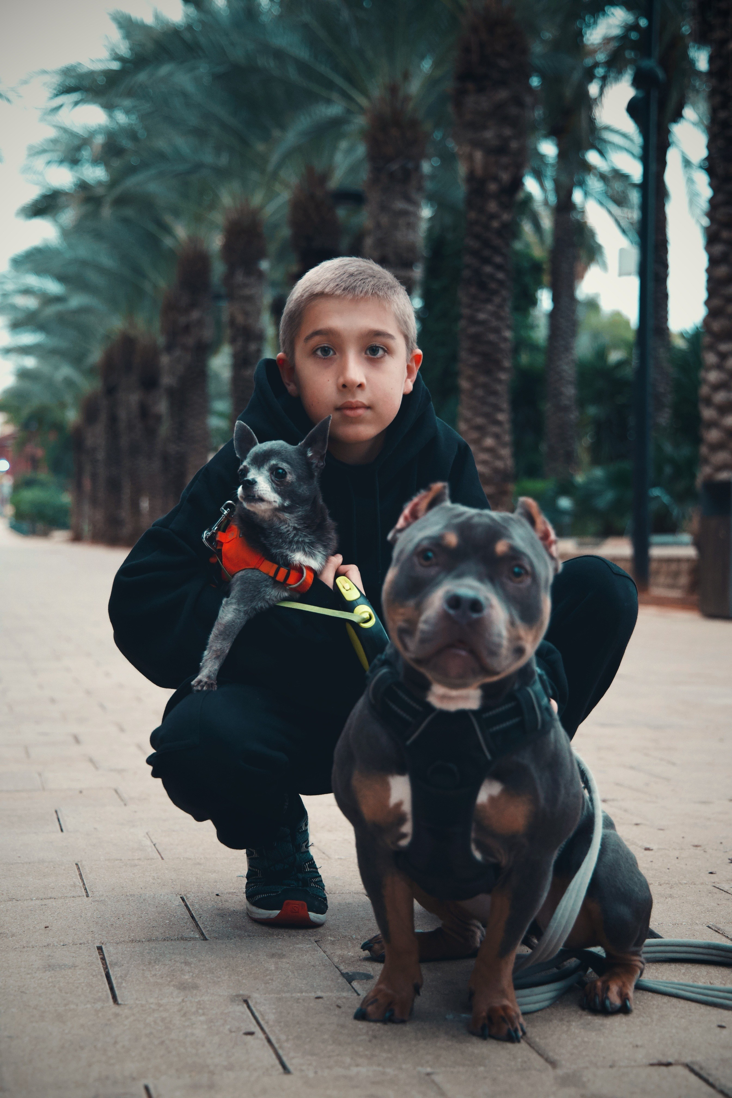 Семейная. Photo__Vladi