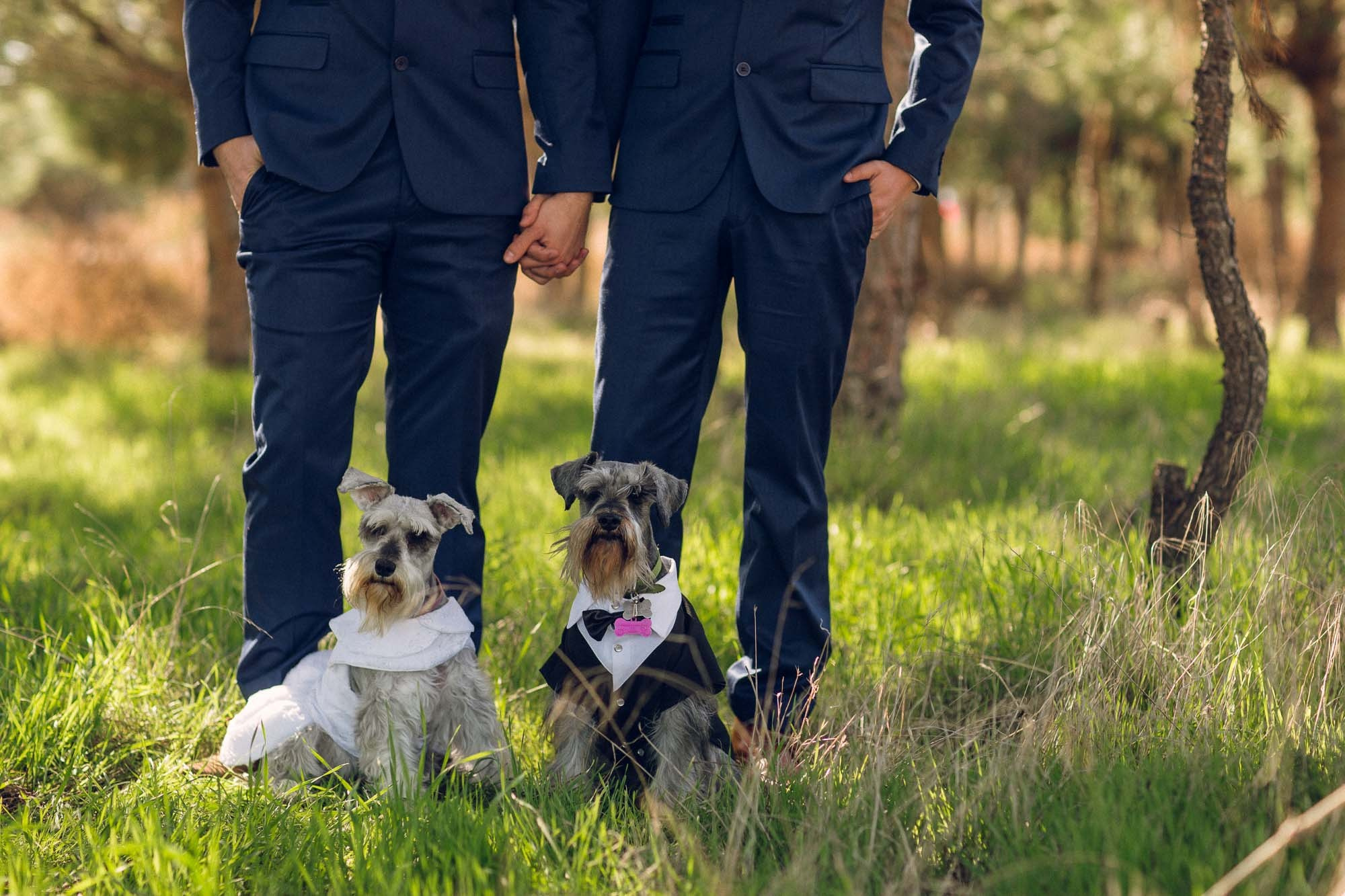 Two Grooms Valle de Guadalupe. Estudio de fotografia en Tijuana