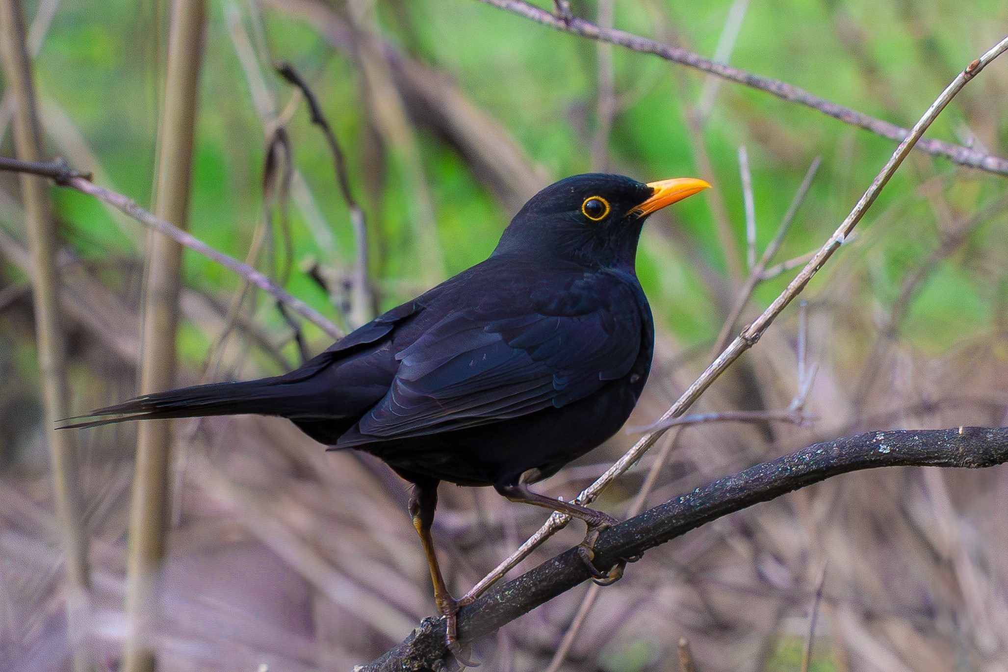 Portret bebeluș la botez realizat de Mitroi Iulian