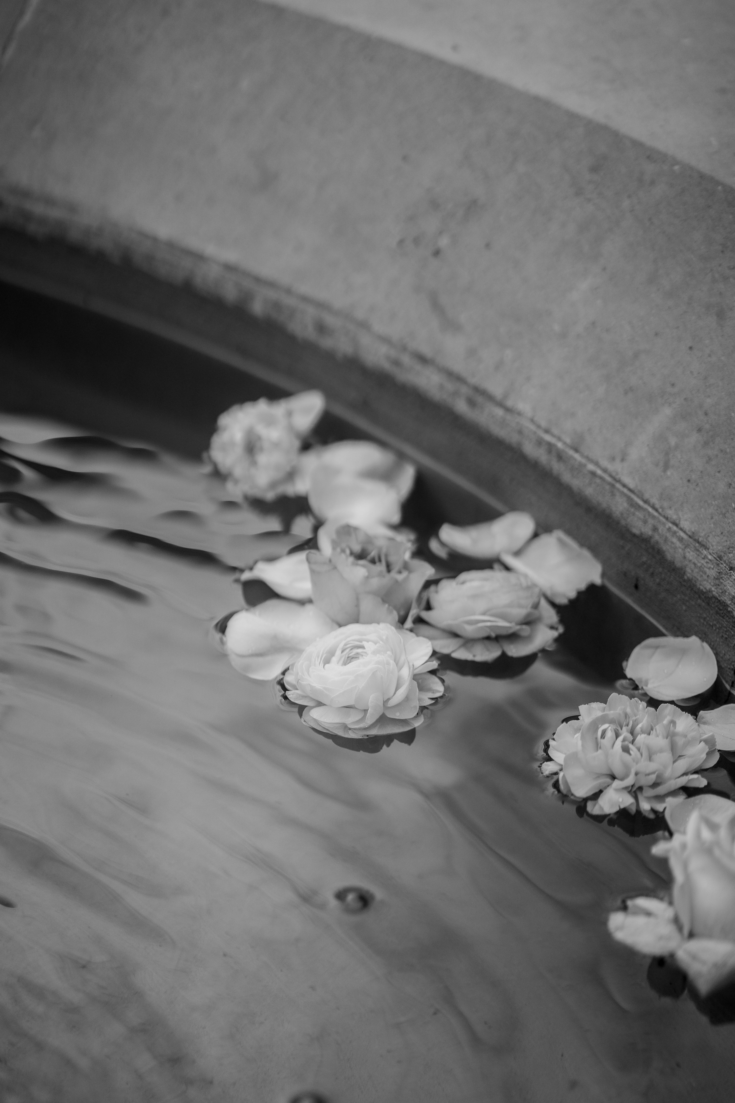 Weddings. Holigood foto y video reportaje de bodas en San Sebastián y Europa