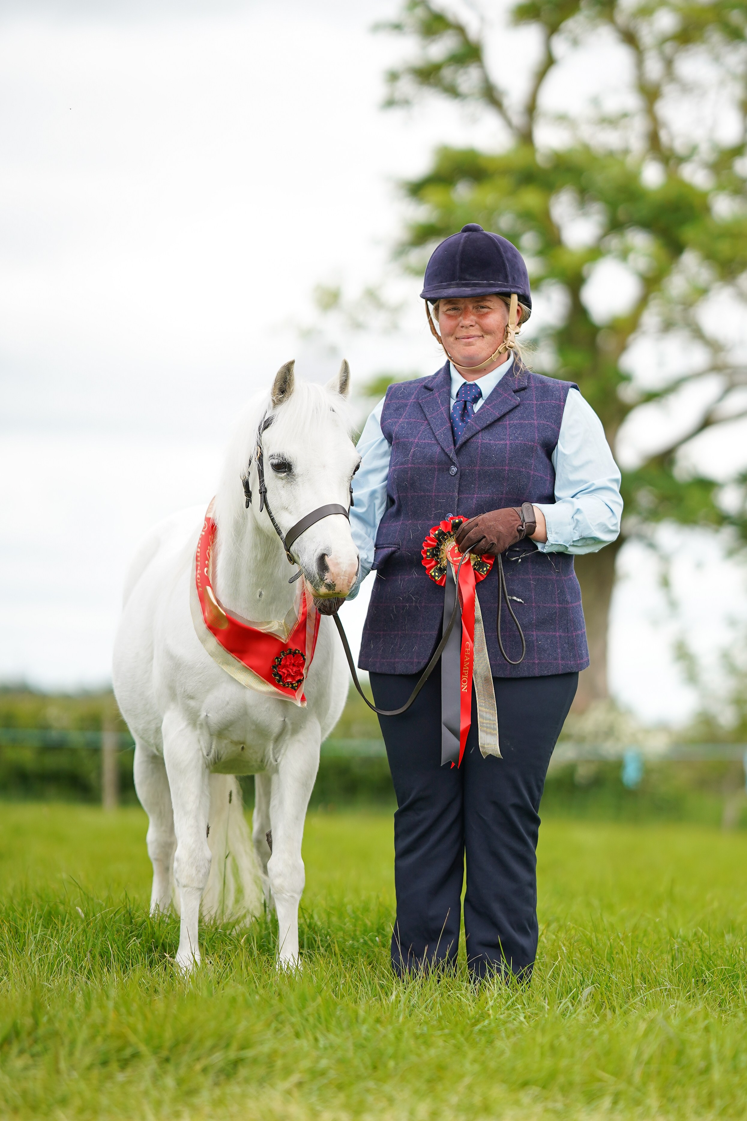 Showing. Leicestershire Equine Photography by El | Authentic Equine Portraits & Events