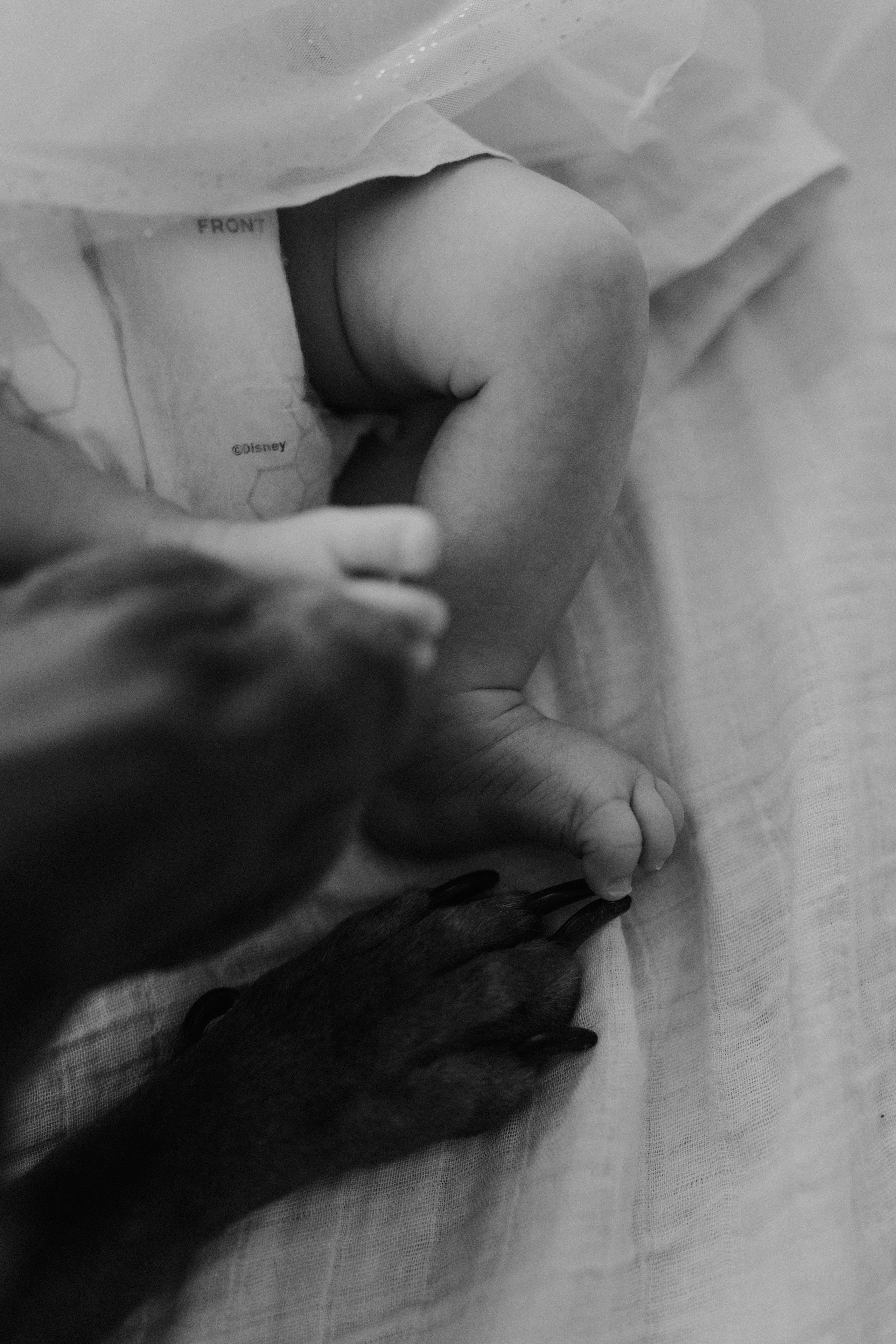 Sarah Ilaria — Newborn. Main