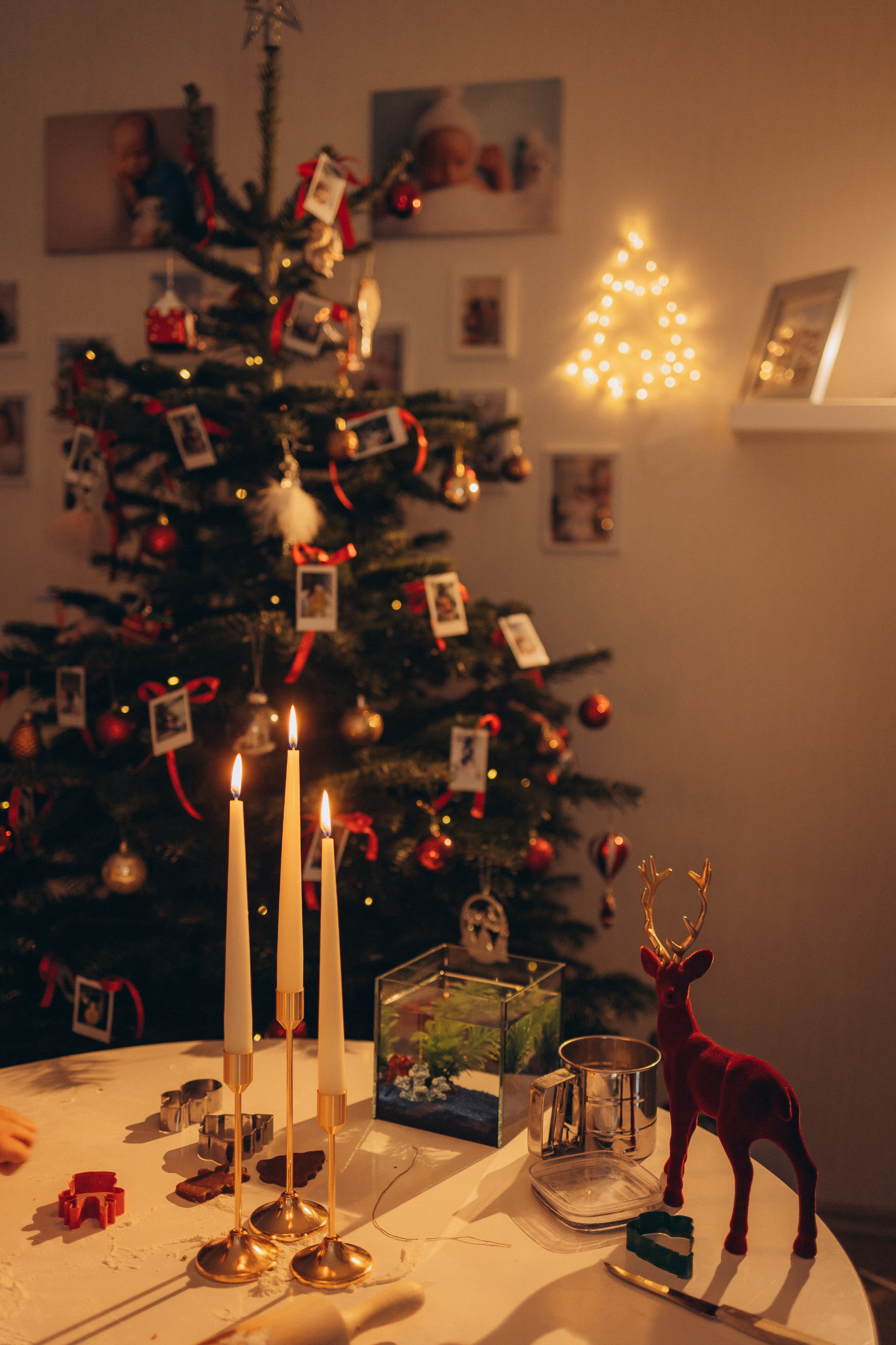 LANAS ģimene. GALVENĀ