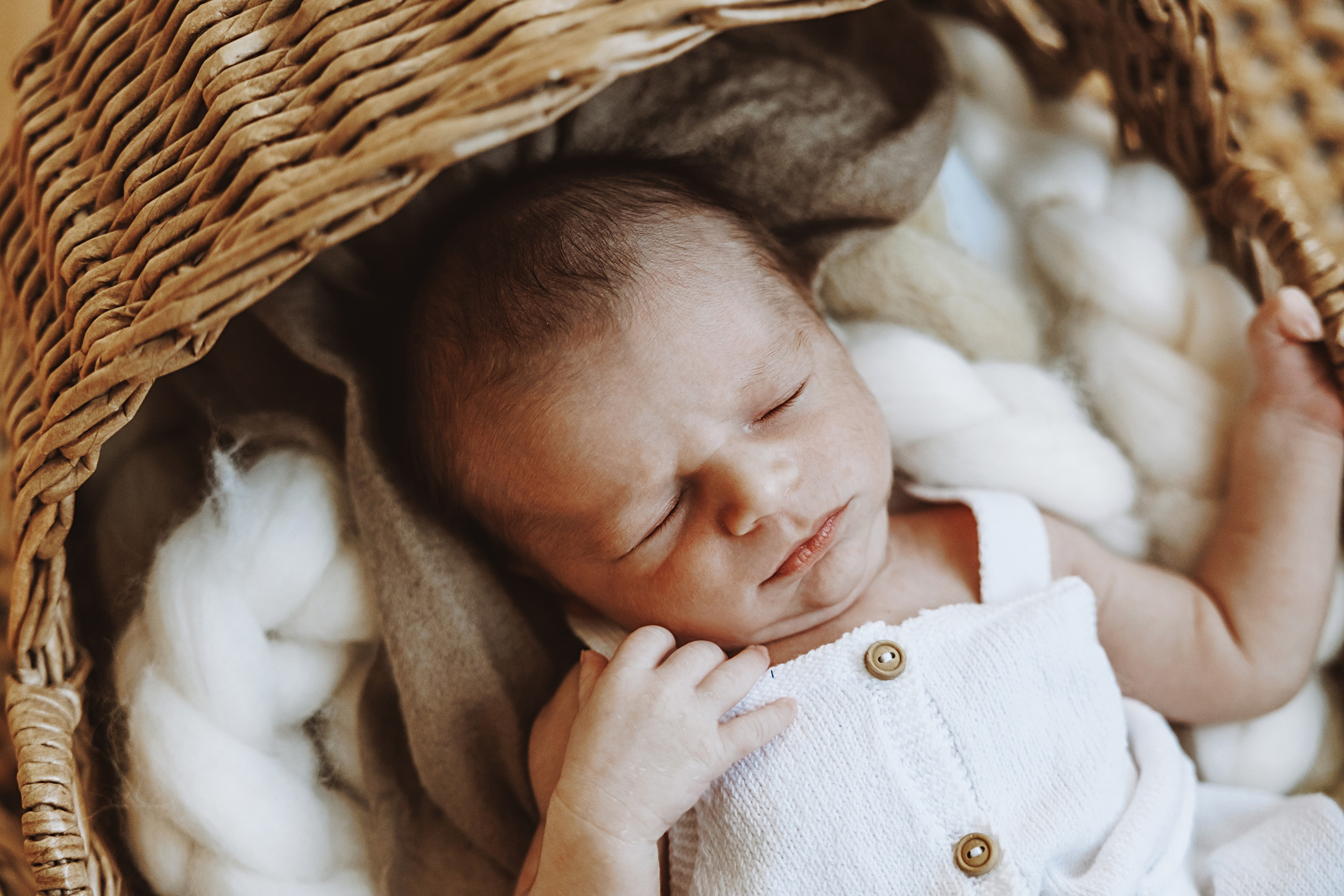 Babby Boy. Фотограф Ирина Йотова