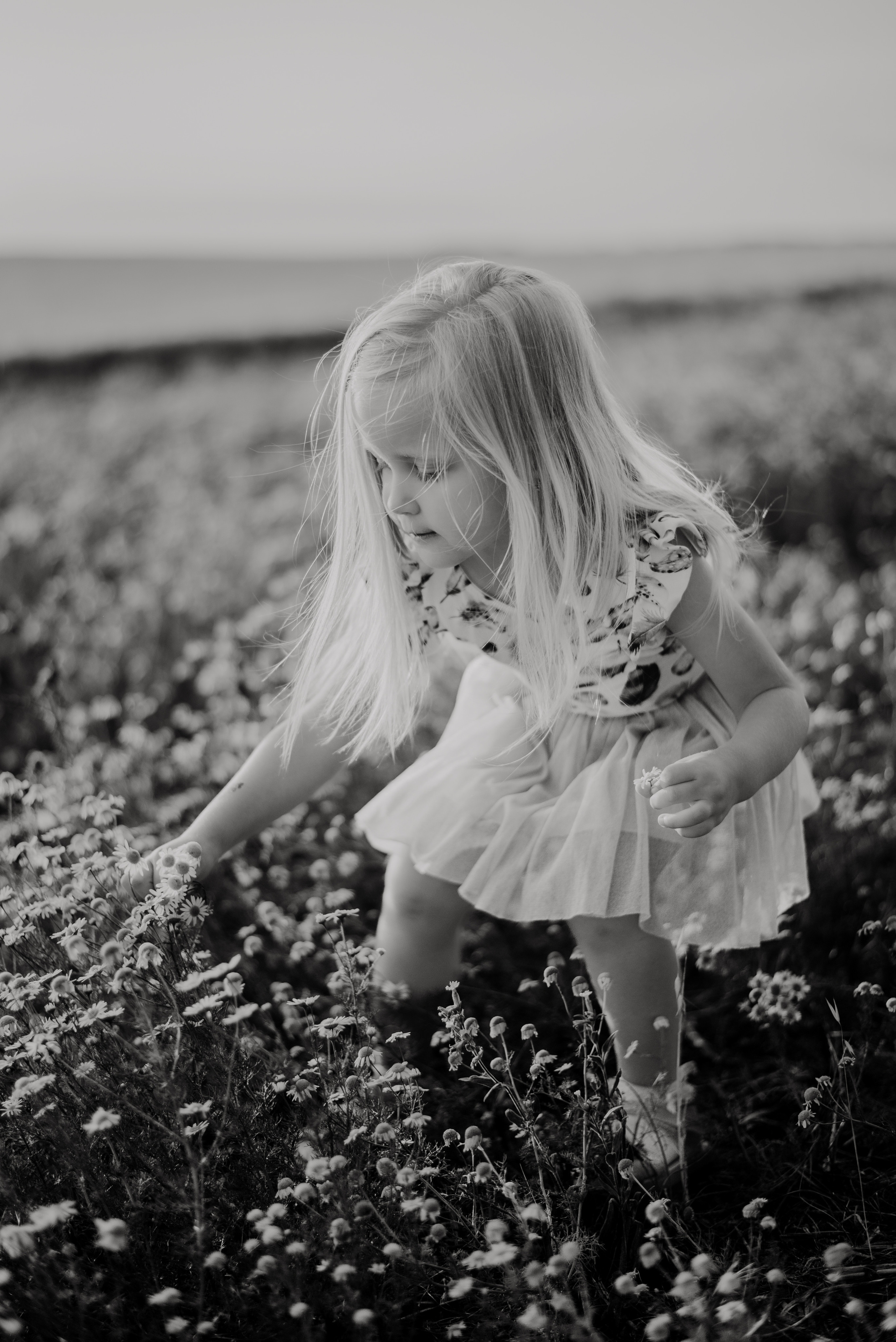 Lucka and family. Lifestyle, wedding and family photographer