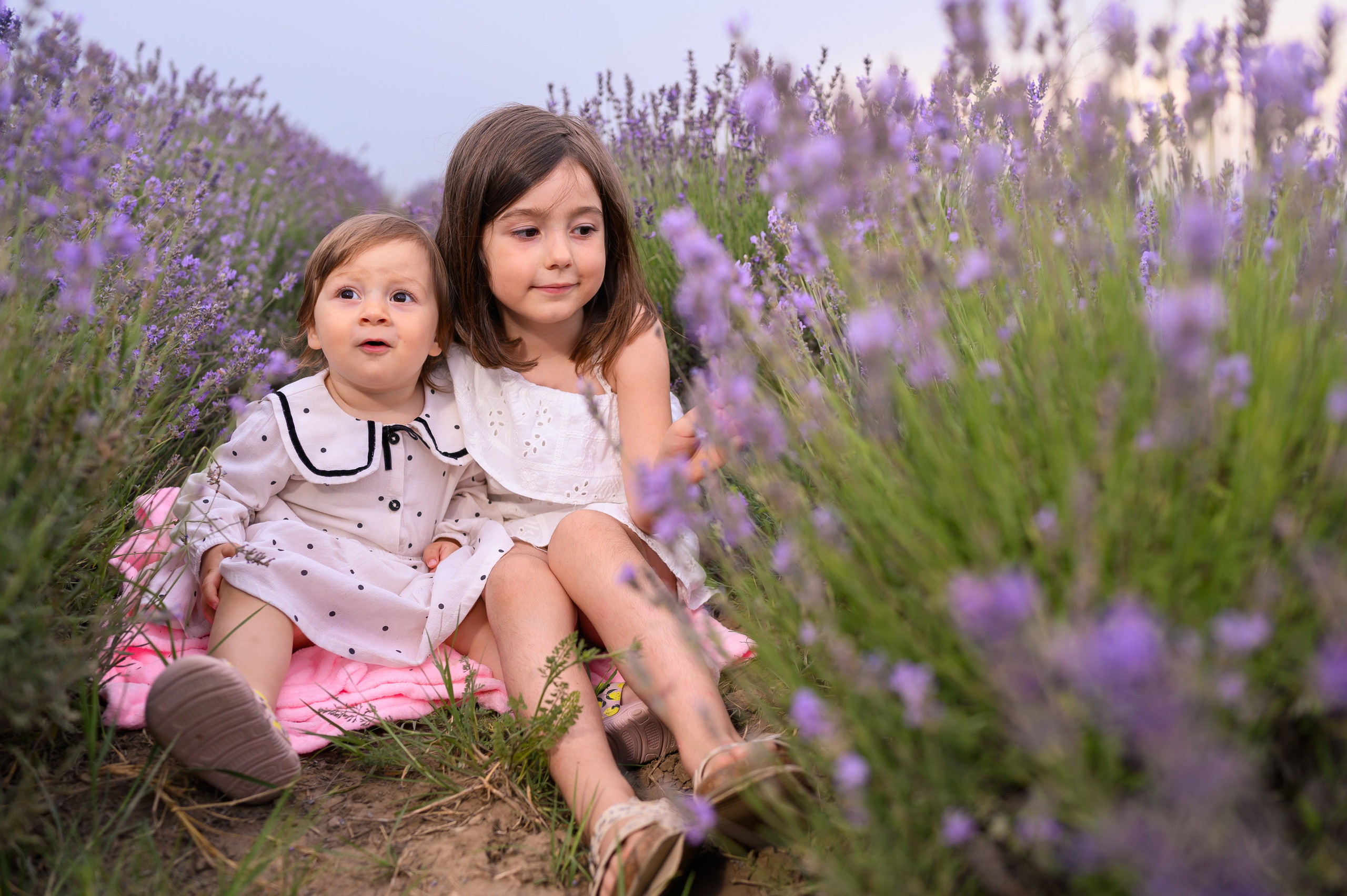 Şedinţe foto de familie. Ligiafoto.ro
