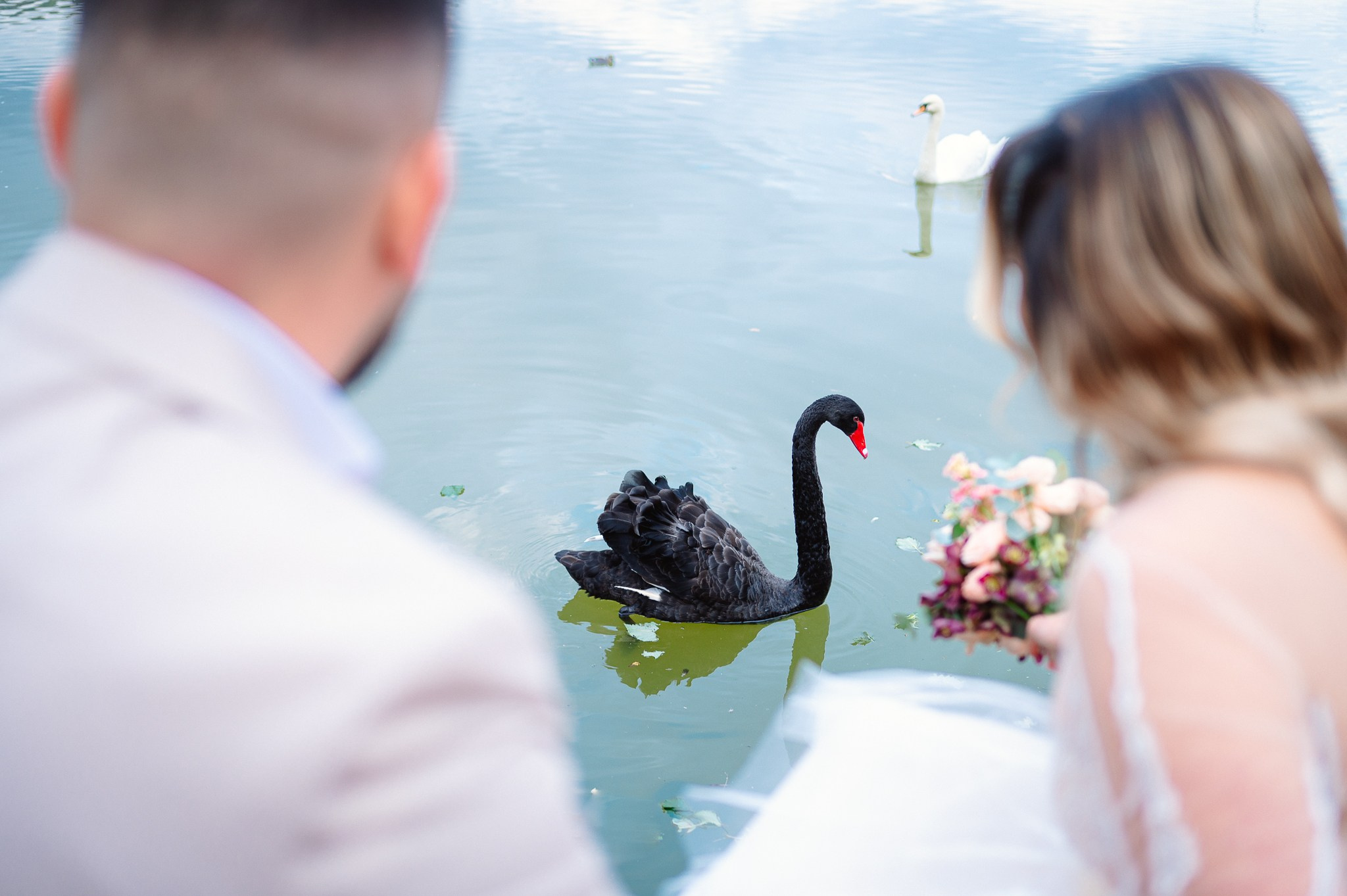 Civil Wedding | Sorina & Dragos. Fotograf de nuntă și botez în Dâmbovița și București | Chivescu Alexandru