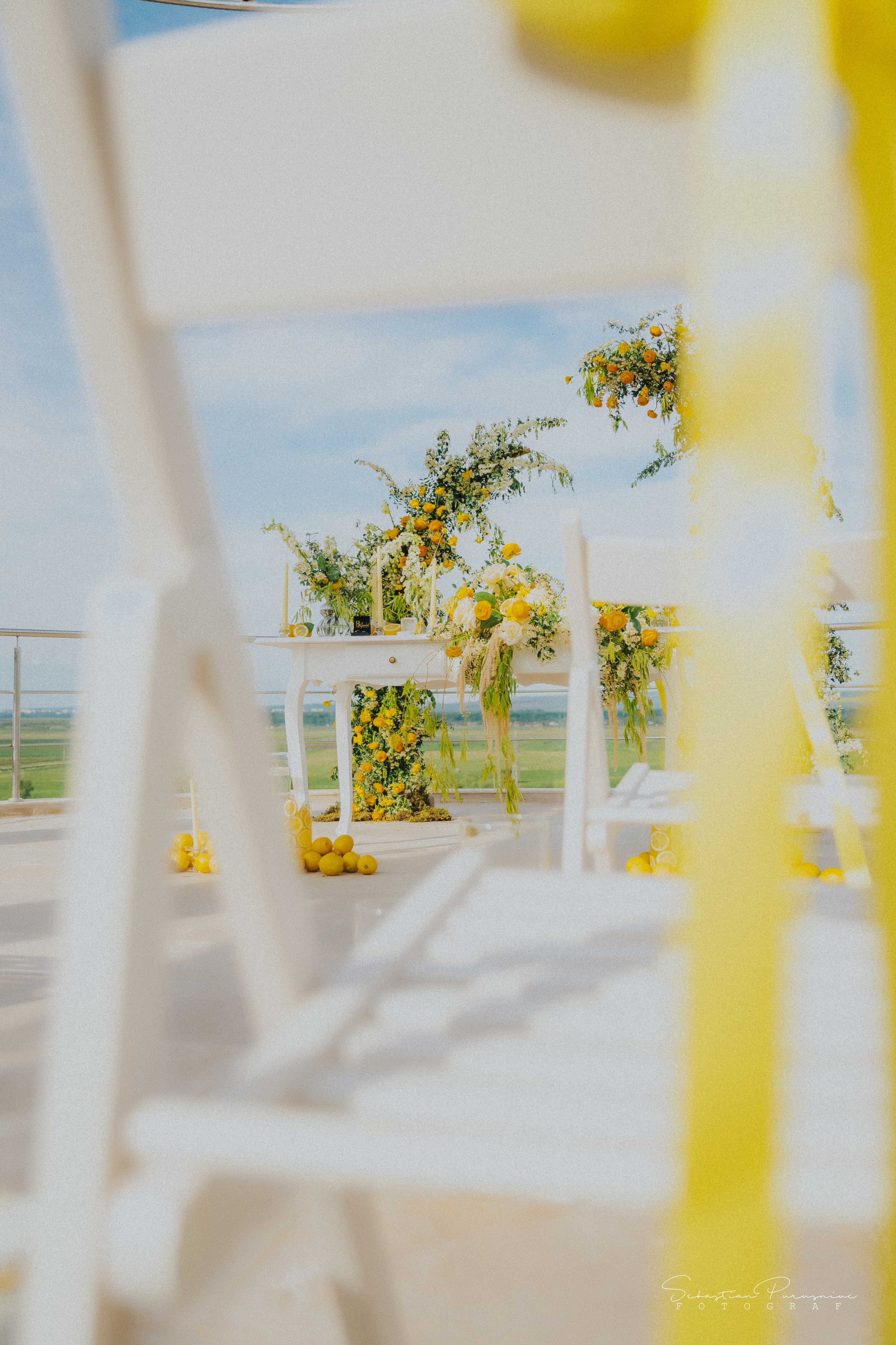 Love & Lemons. Sebastian Purusniuc Fotograf - Iasi