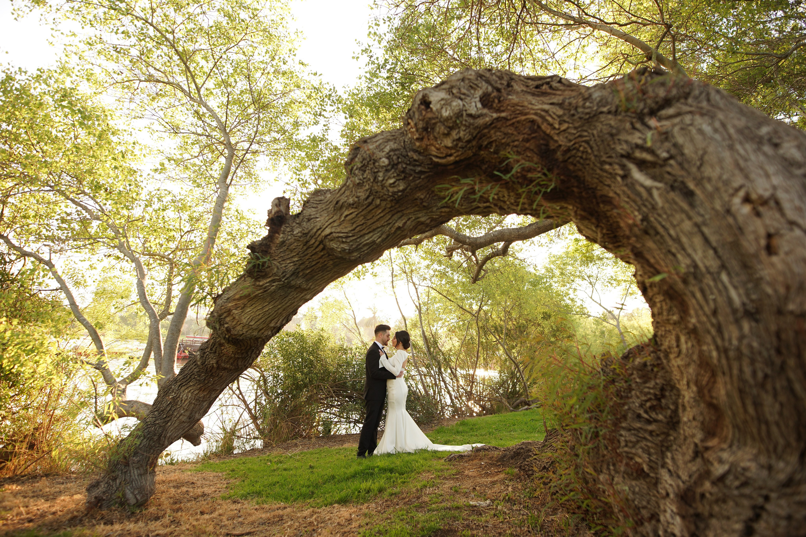 Sharon & Dudi. Wedding and events photographers Studio Shalom